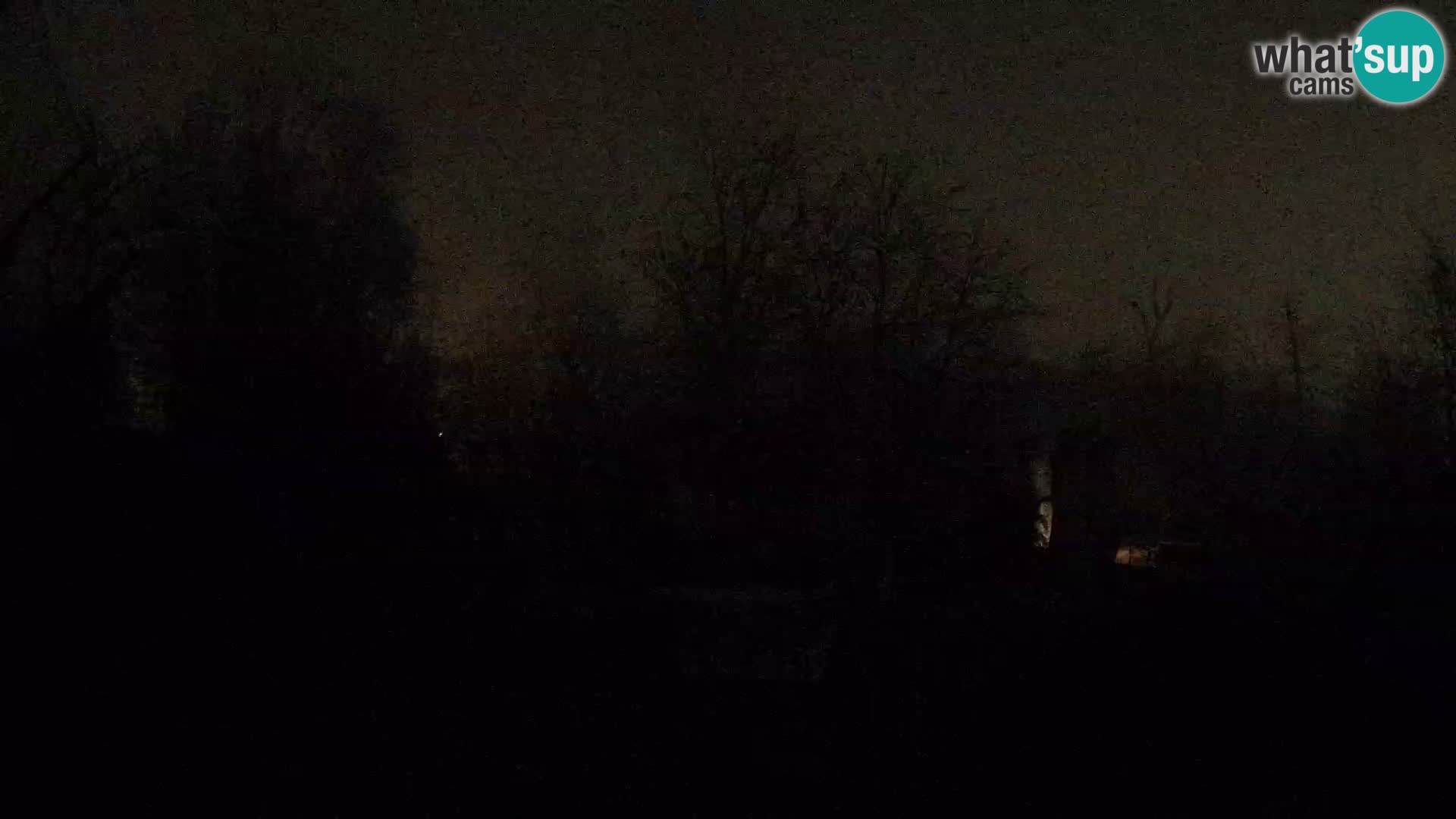 Zoo Zagreb – Leones