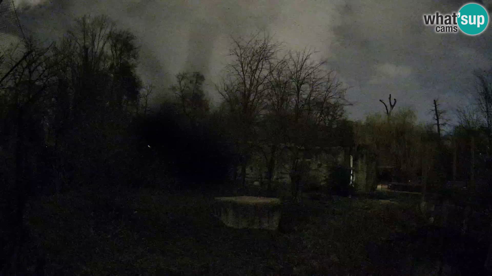 Zoo Zagreb – Löwen