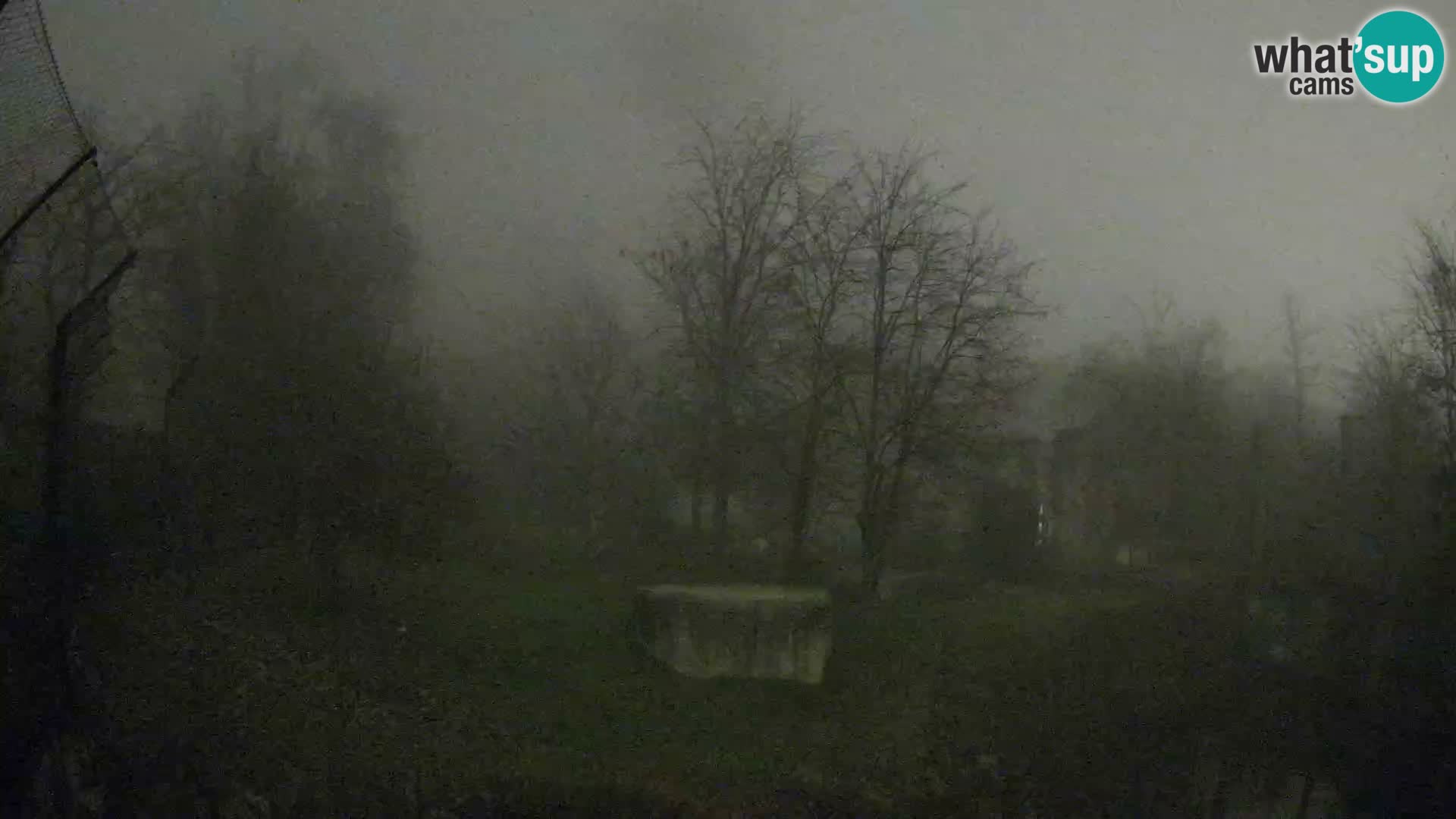 Zoo Zagreb – Lavovi