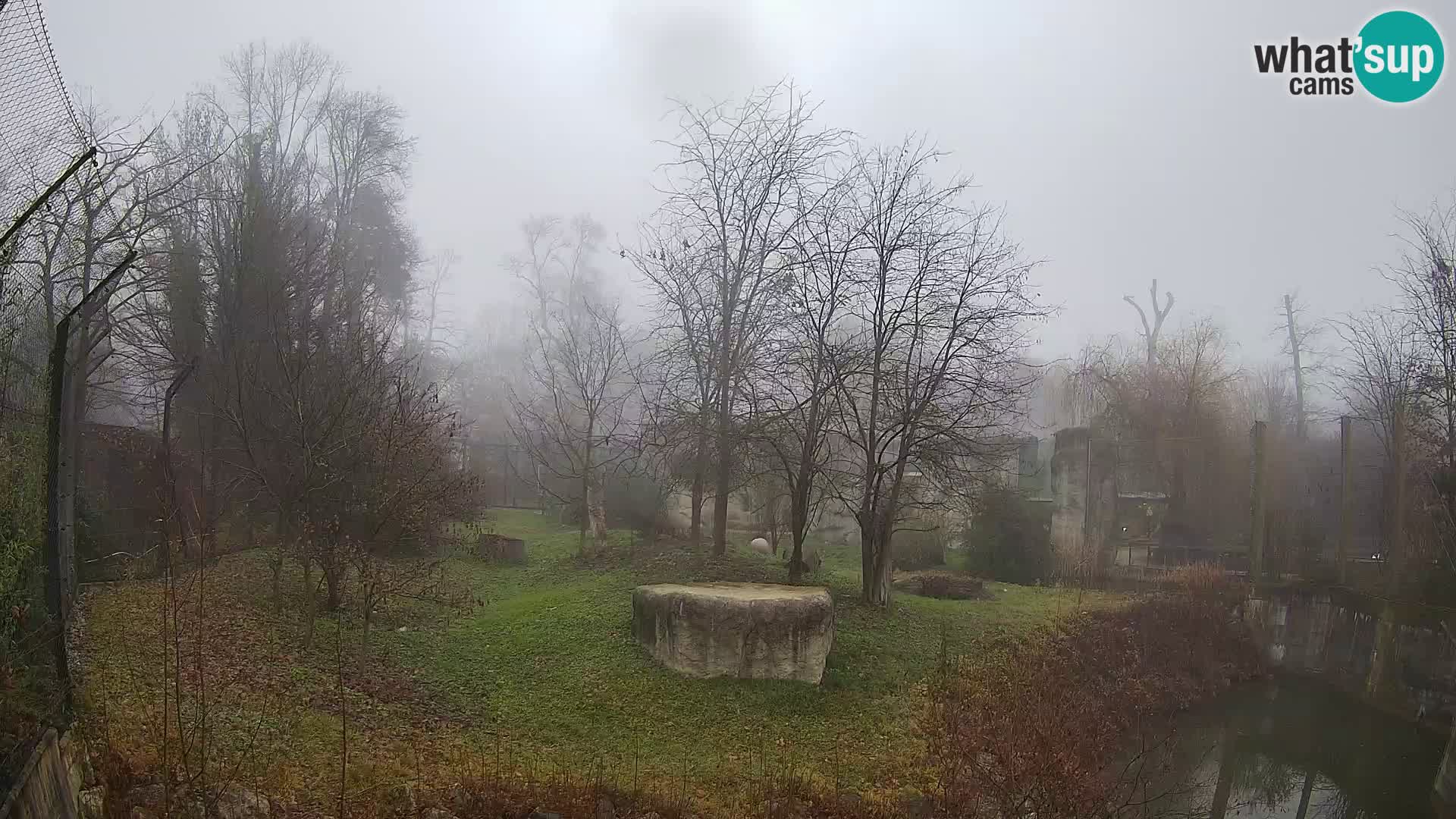 Zoo Zagreb – Lavovi