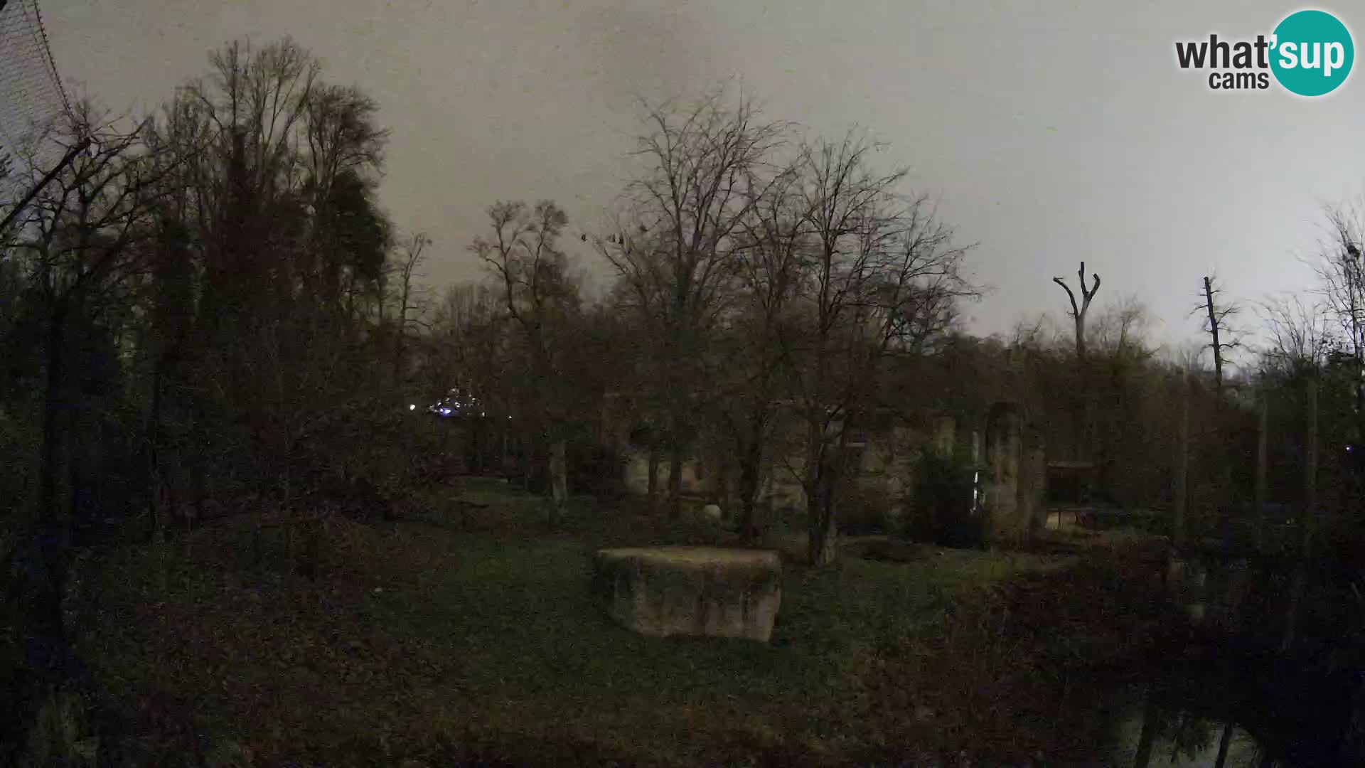 Zoo Zagreb – Löwen