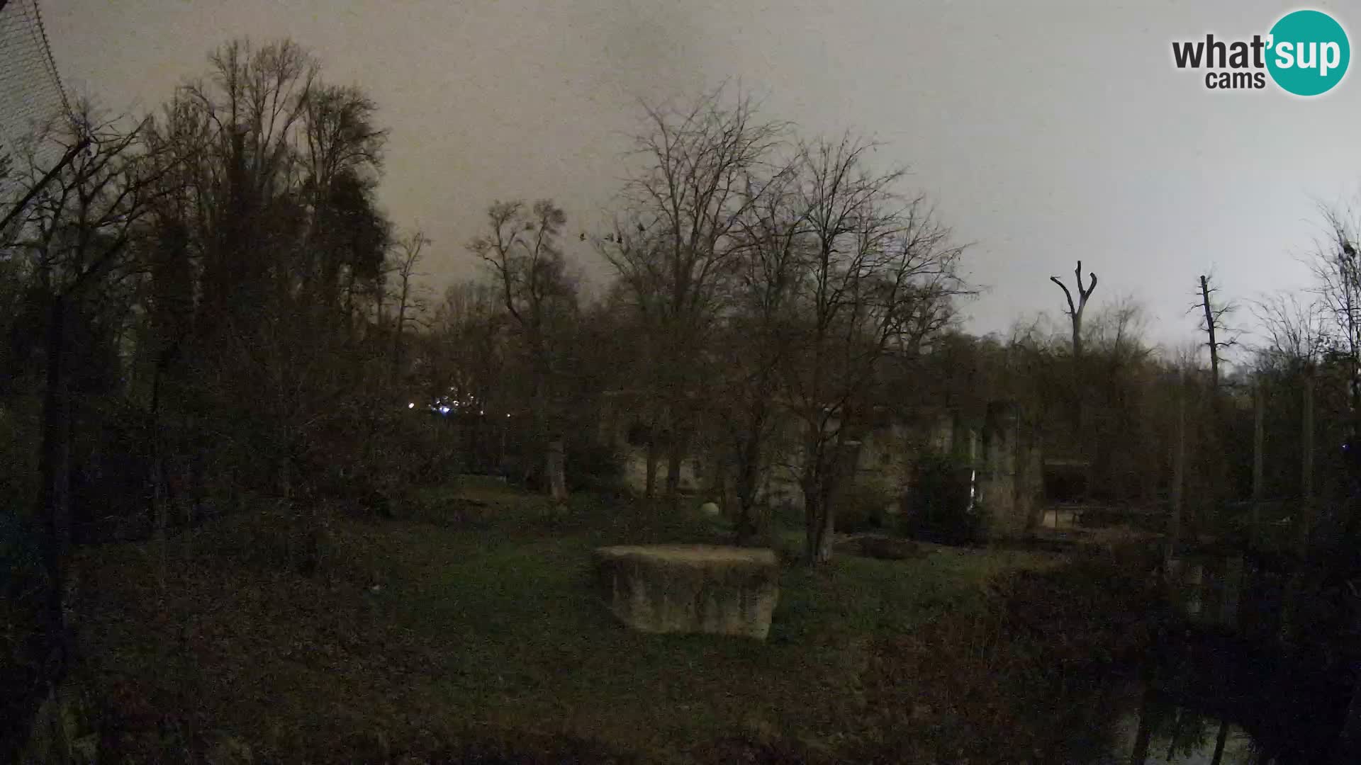 Zoo Zagreb – Leones