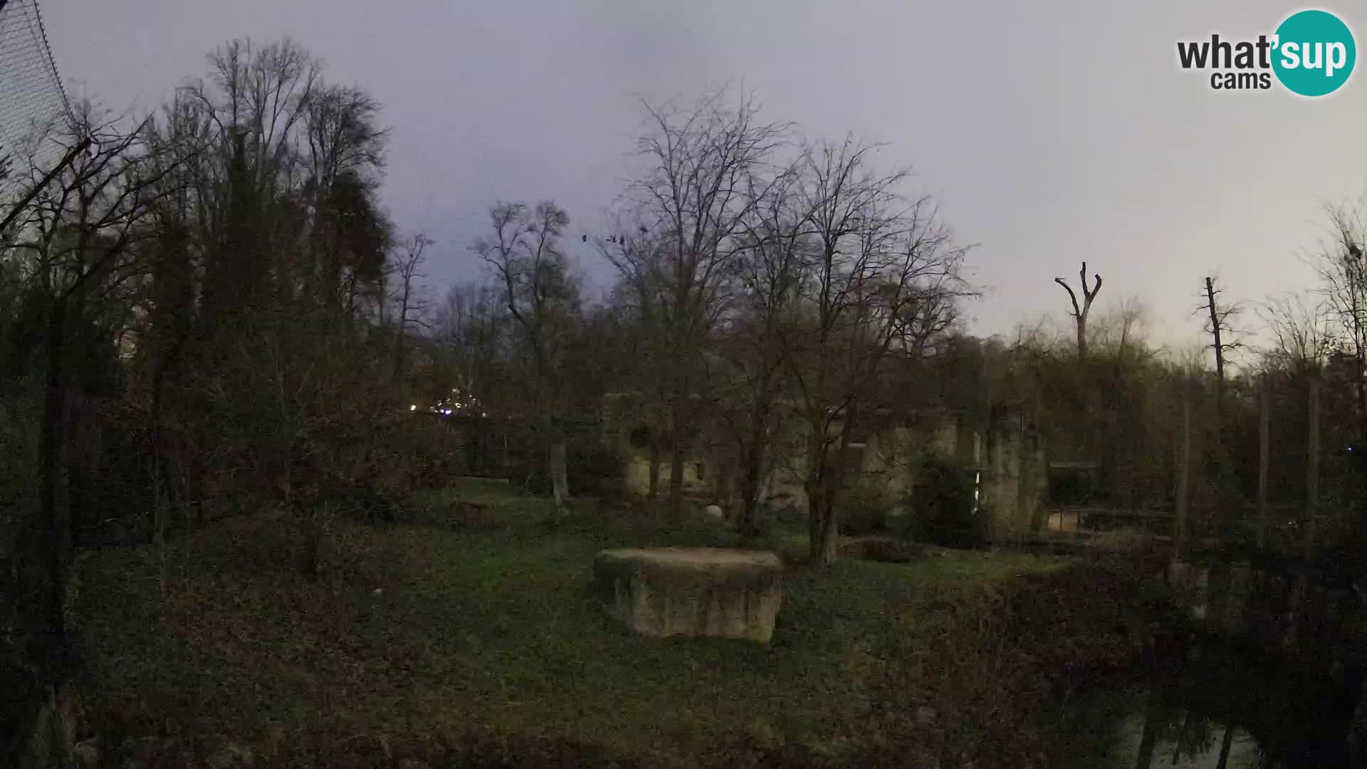 Zoo Zagreb – Leoni