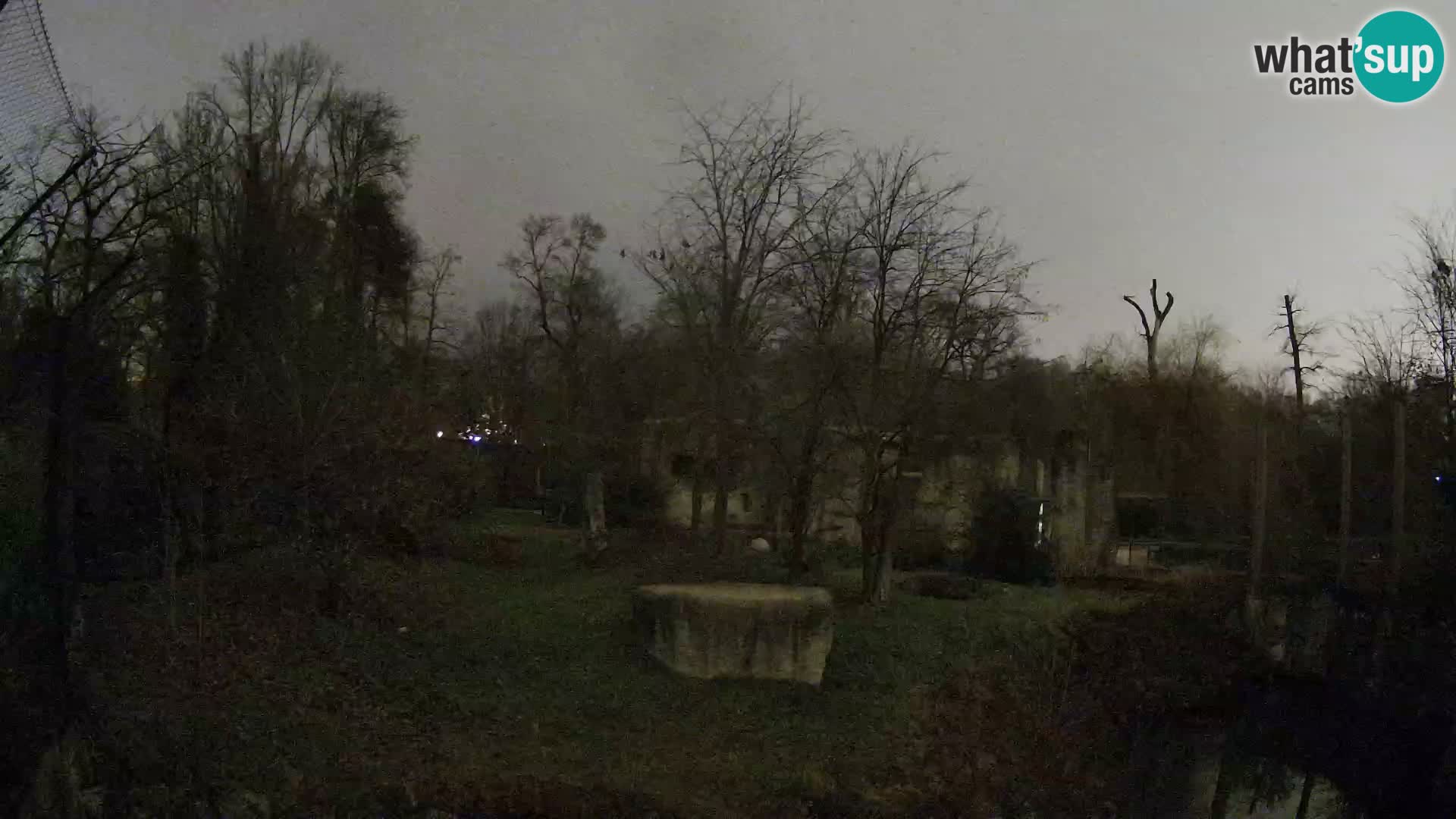 Zoo Zagreb – Leoni