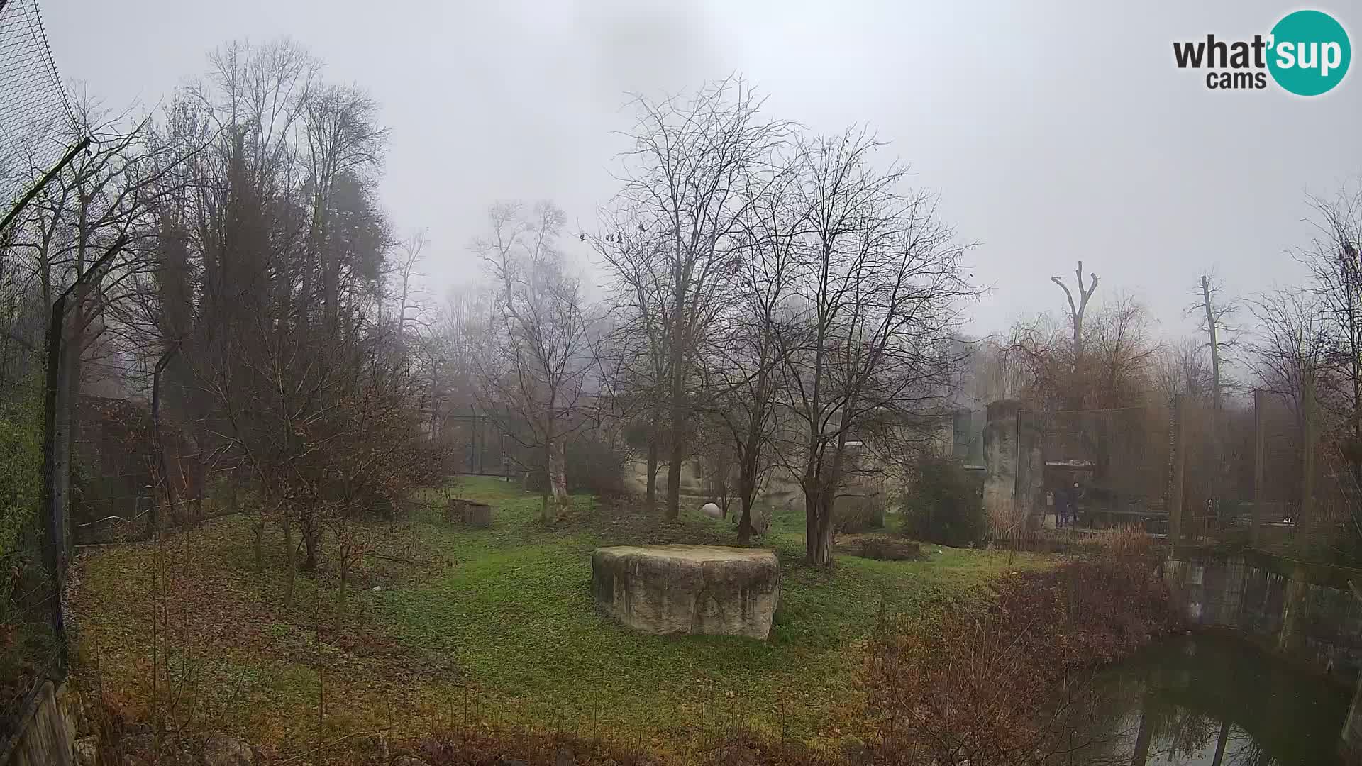 Zoo Zagreb – Leones