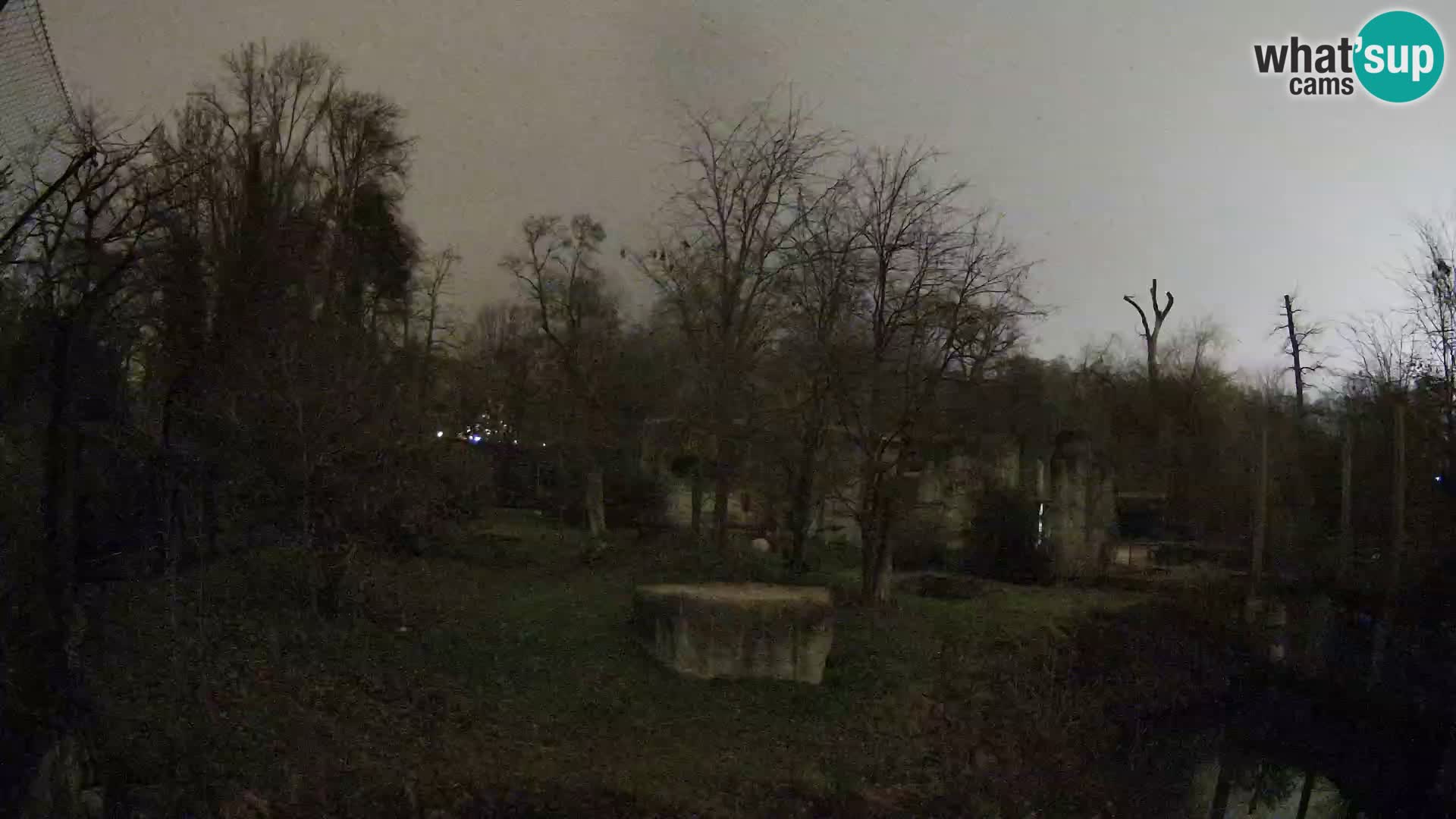 Zoo Zagreb – Leones