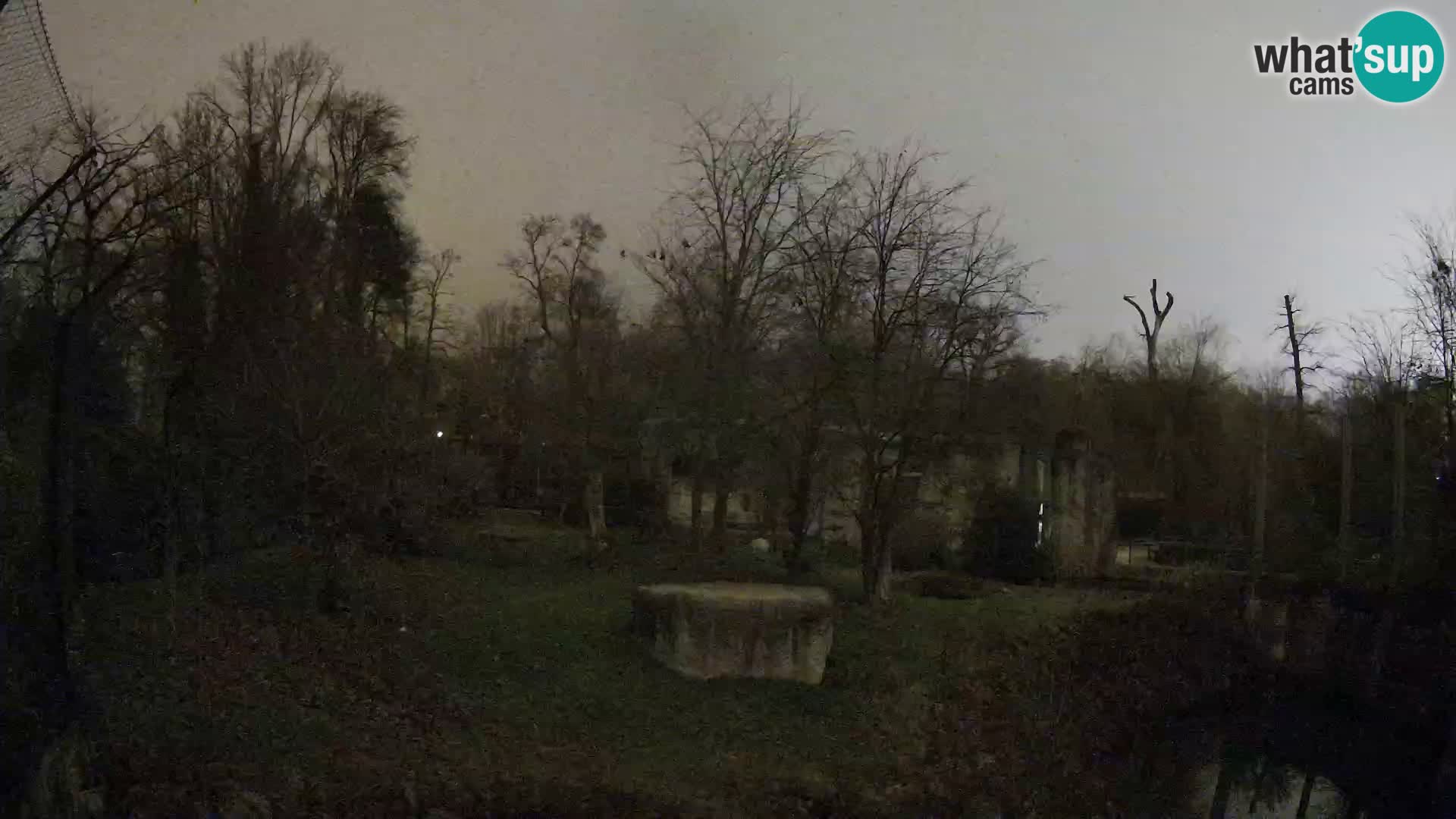 Zoo Zagreb – Löwen