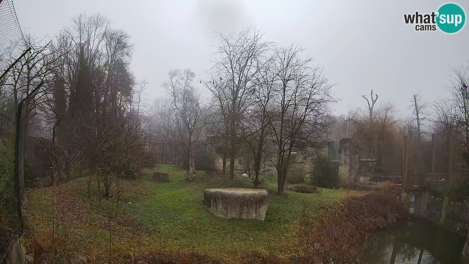 Spletna kamera Zoo Zagreb – Levi