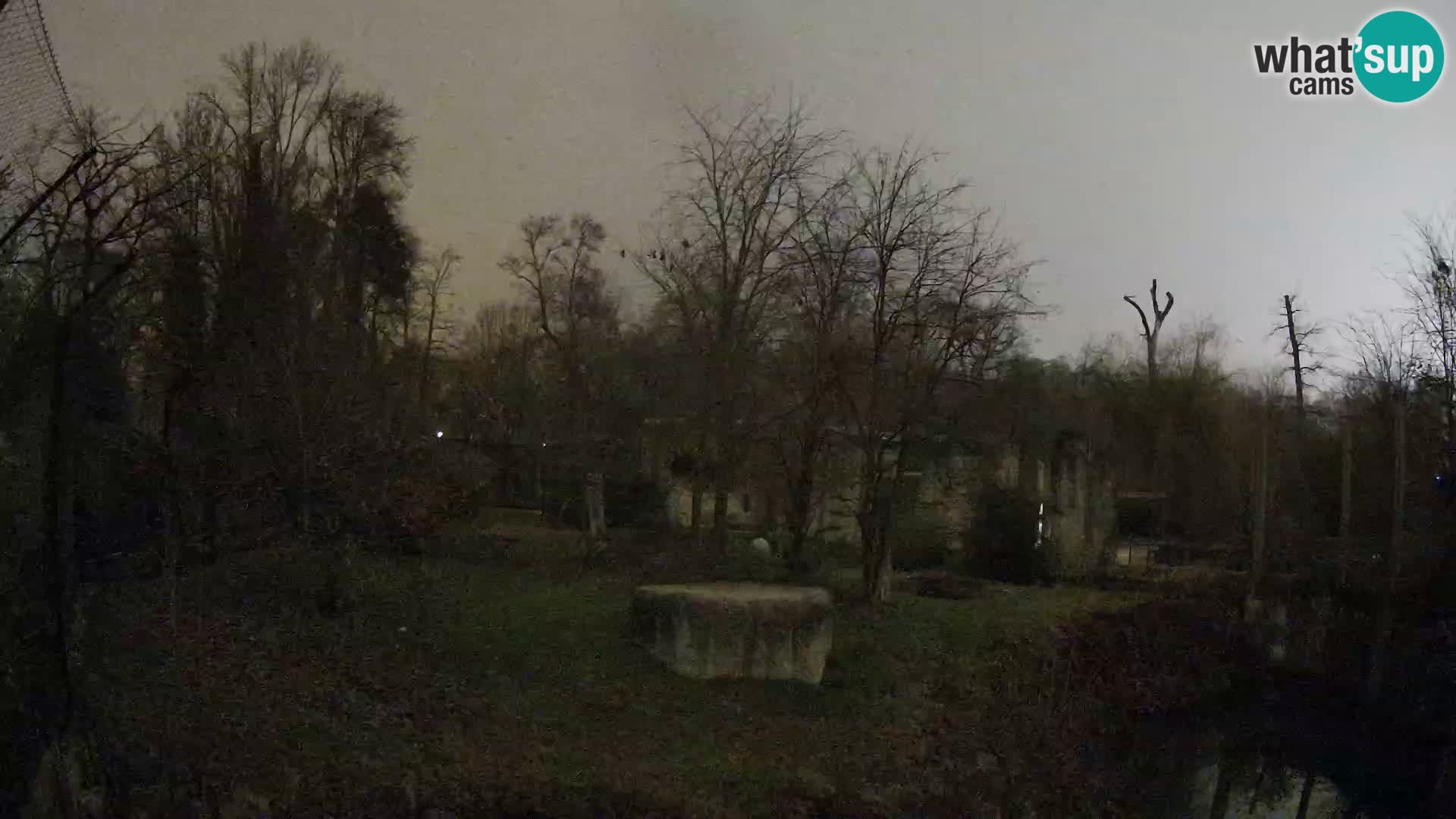 Zoo Zagreb – Leones