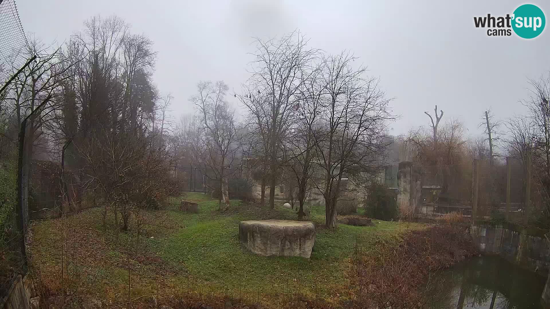 Zoo Zagreb – Löwen