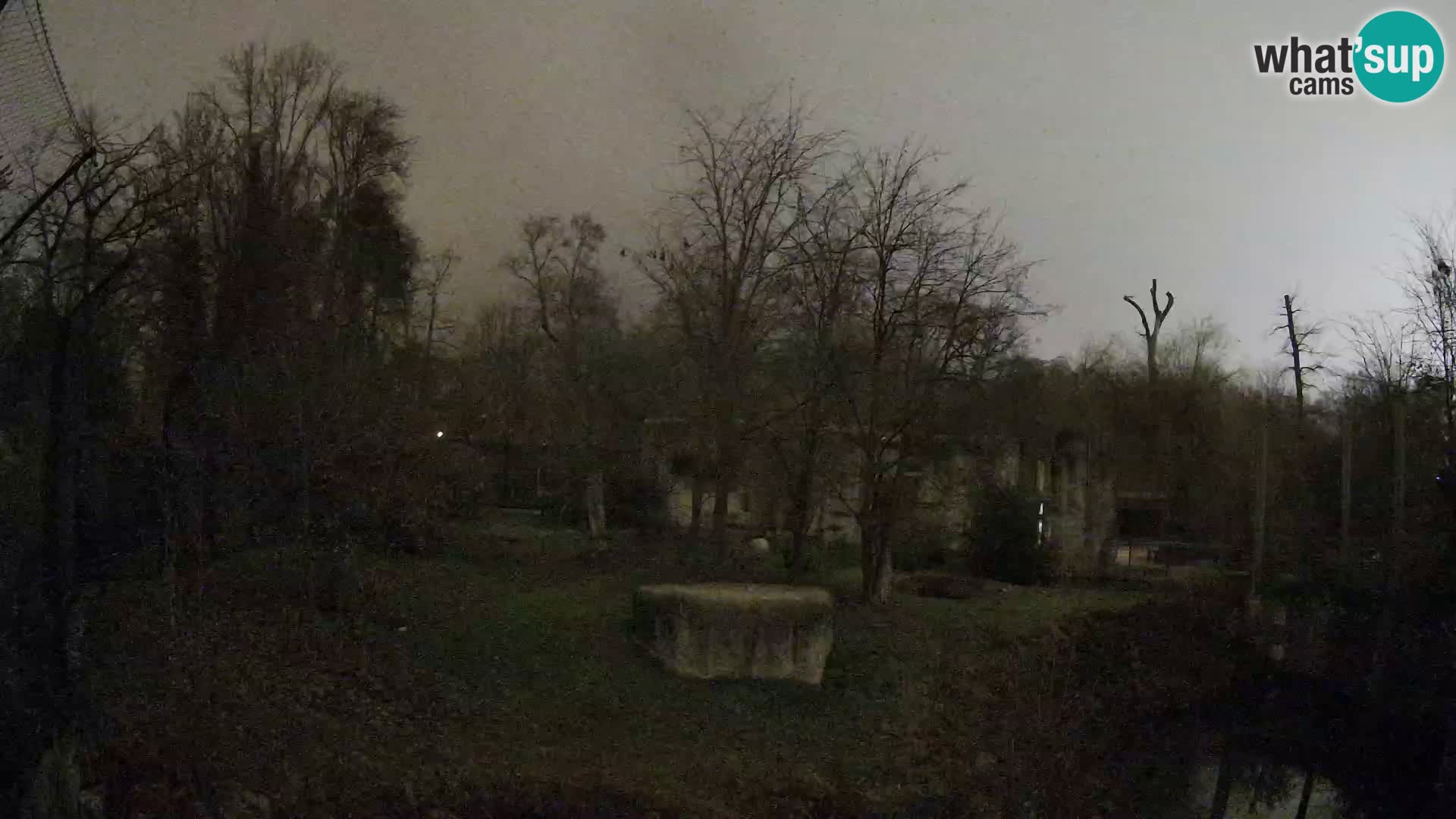 Zoo Zagreb – Löwen