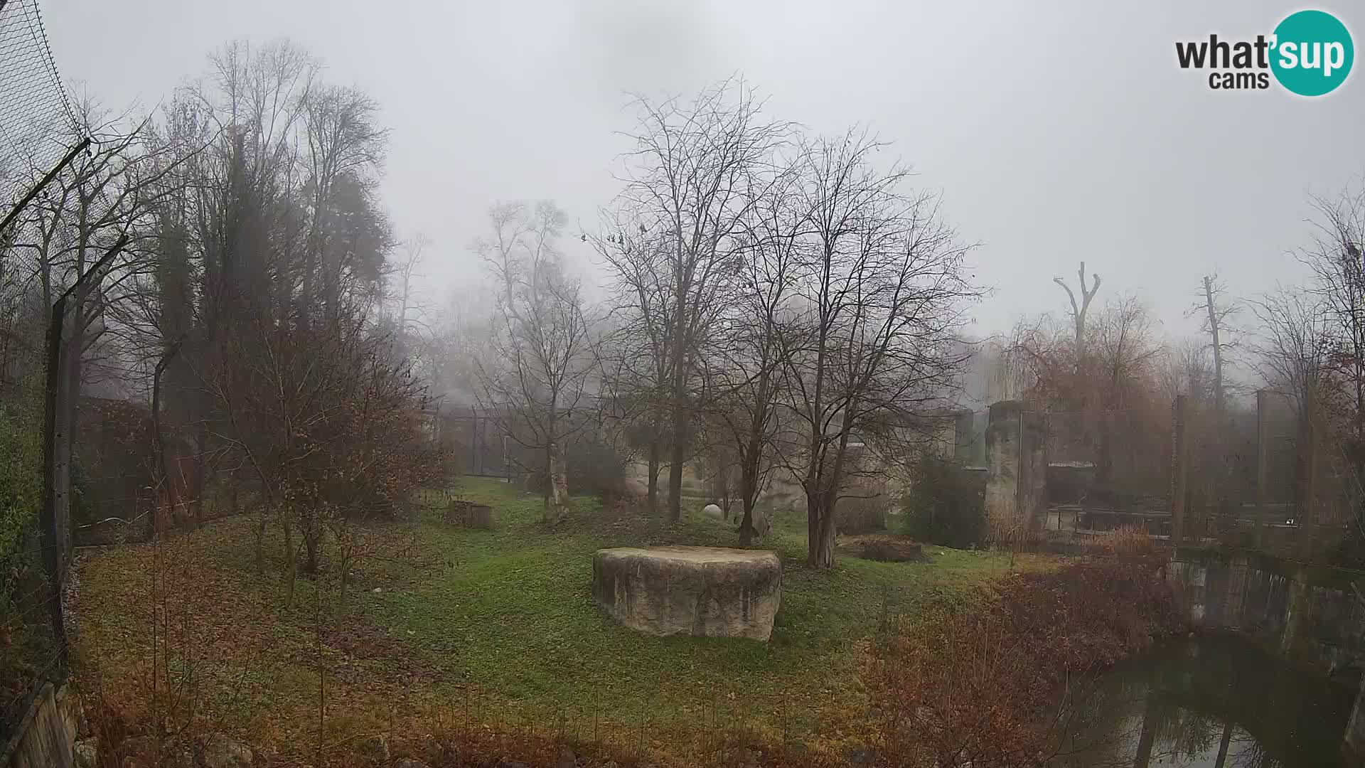 Spletna kamera Zoo Zagreb – Levi