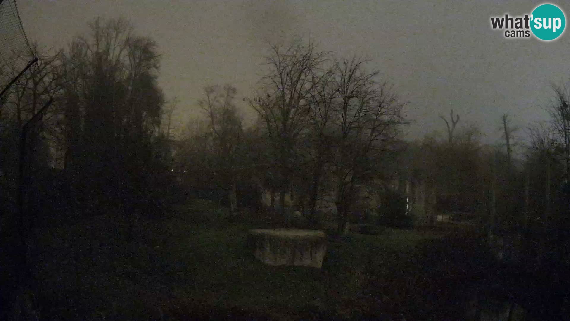 Spletna kamera Zoo Zagreb – Levi