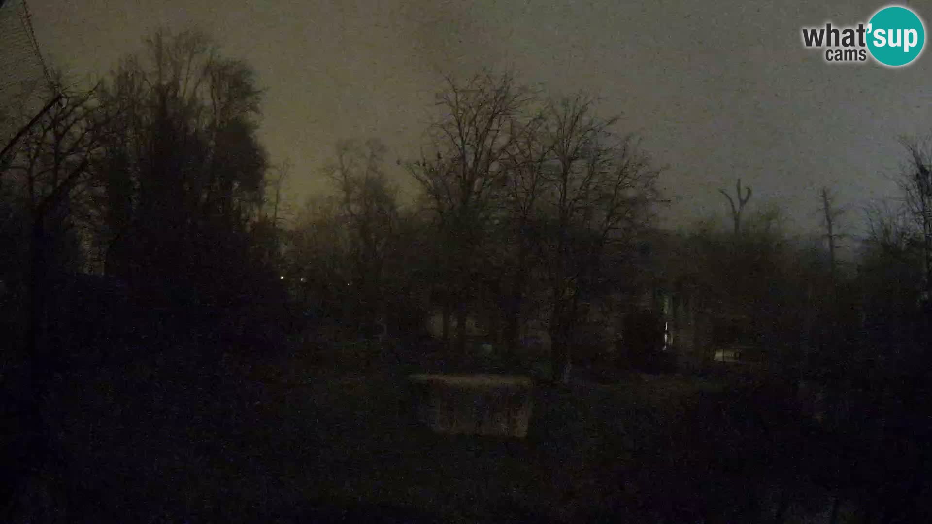 Spletna kamera Zoo Zagreb – Levi