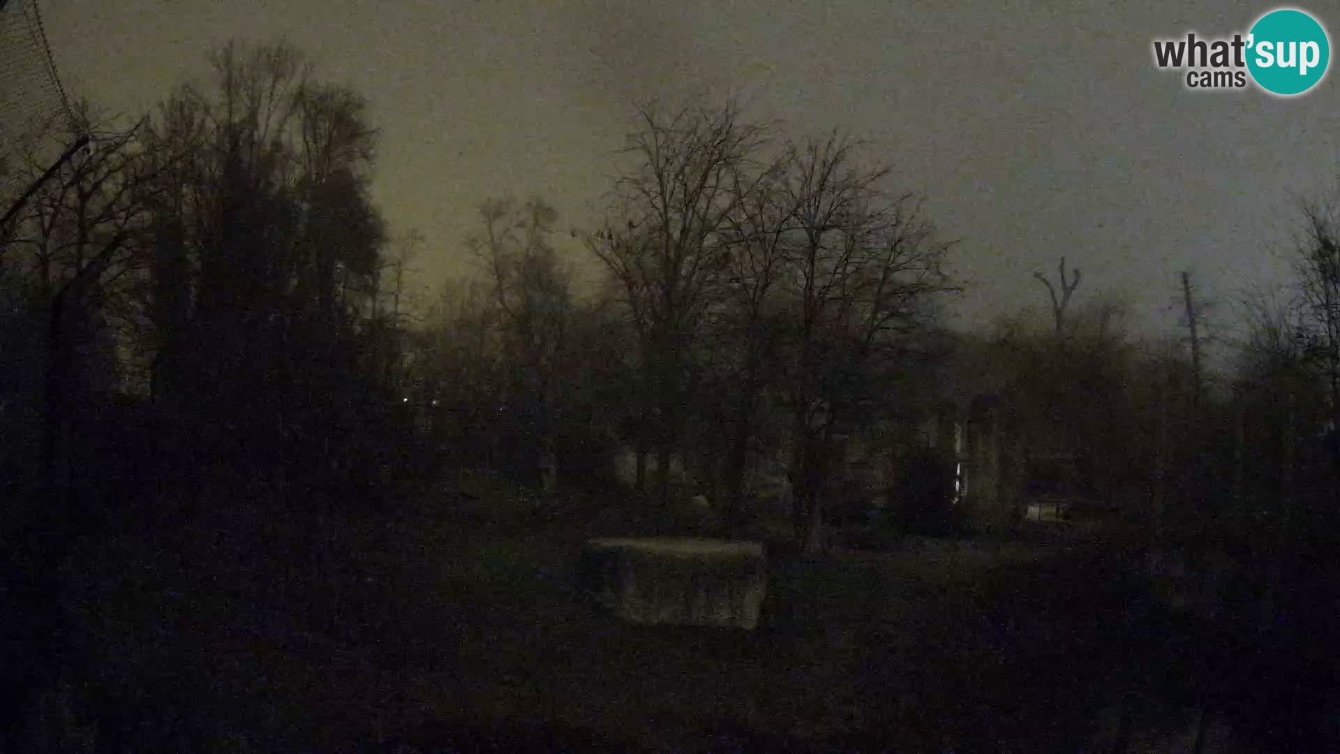 Spletna kamera Zoo Zagreb – Levi