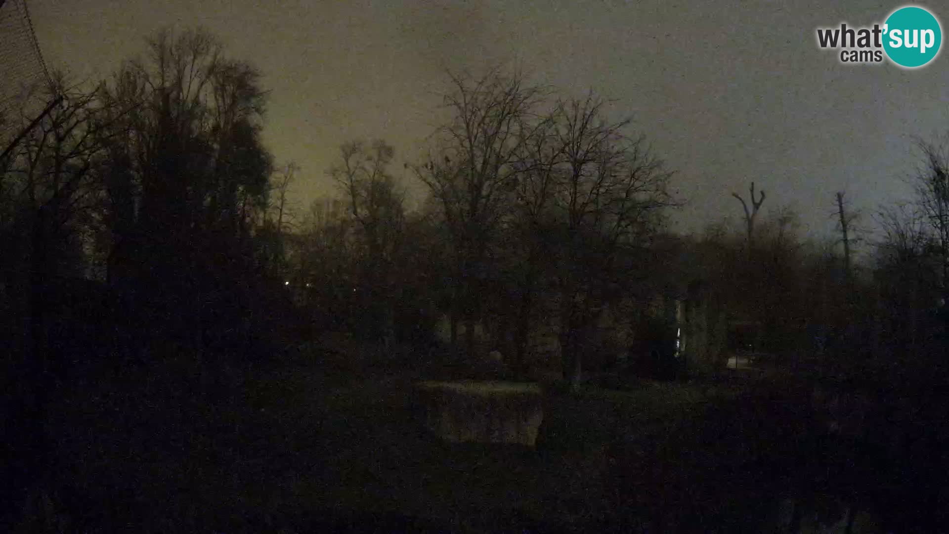 Spletna kamera Zoo Zagreb – Levi