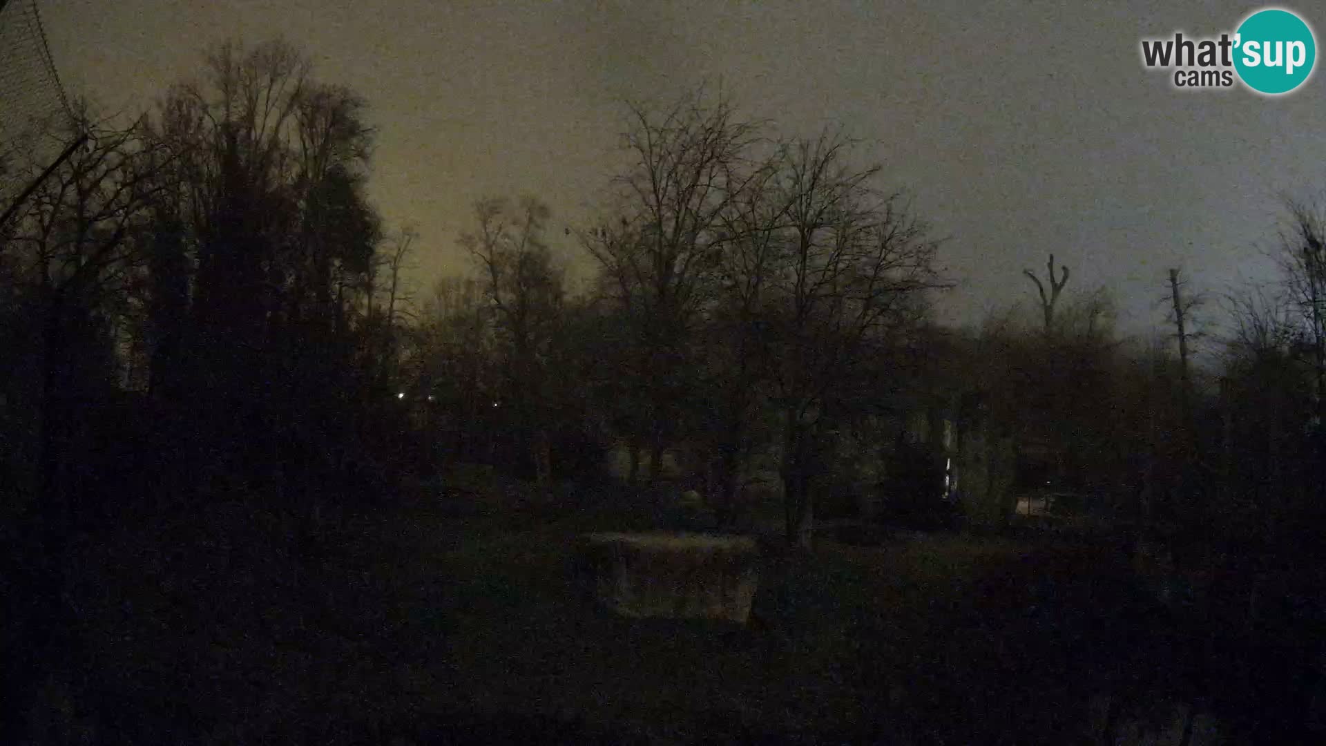 Spletna kamera Zoo Zagreb – Levi