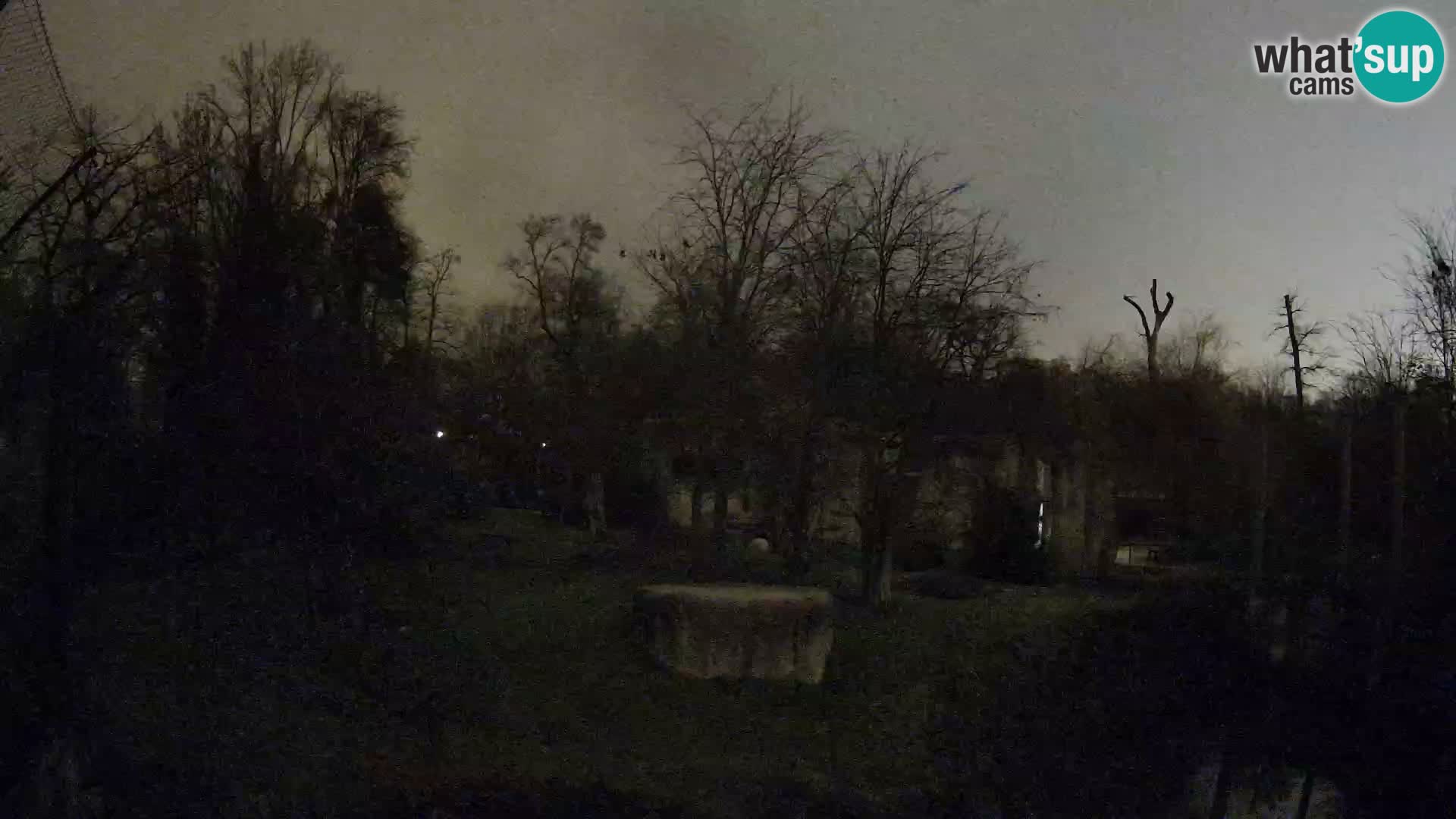 Spletna kamera Zoo Zagreb – Levi