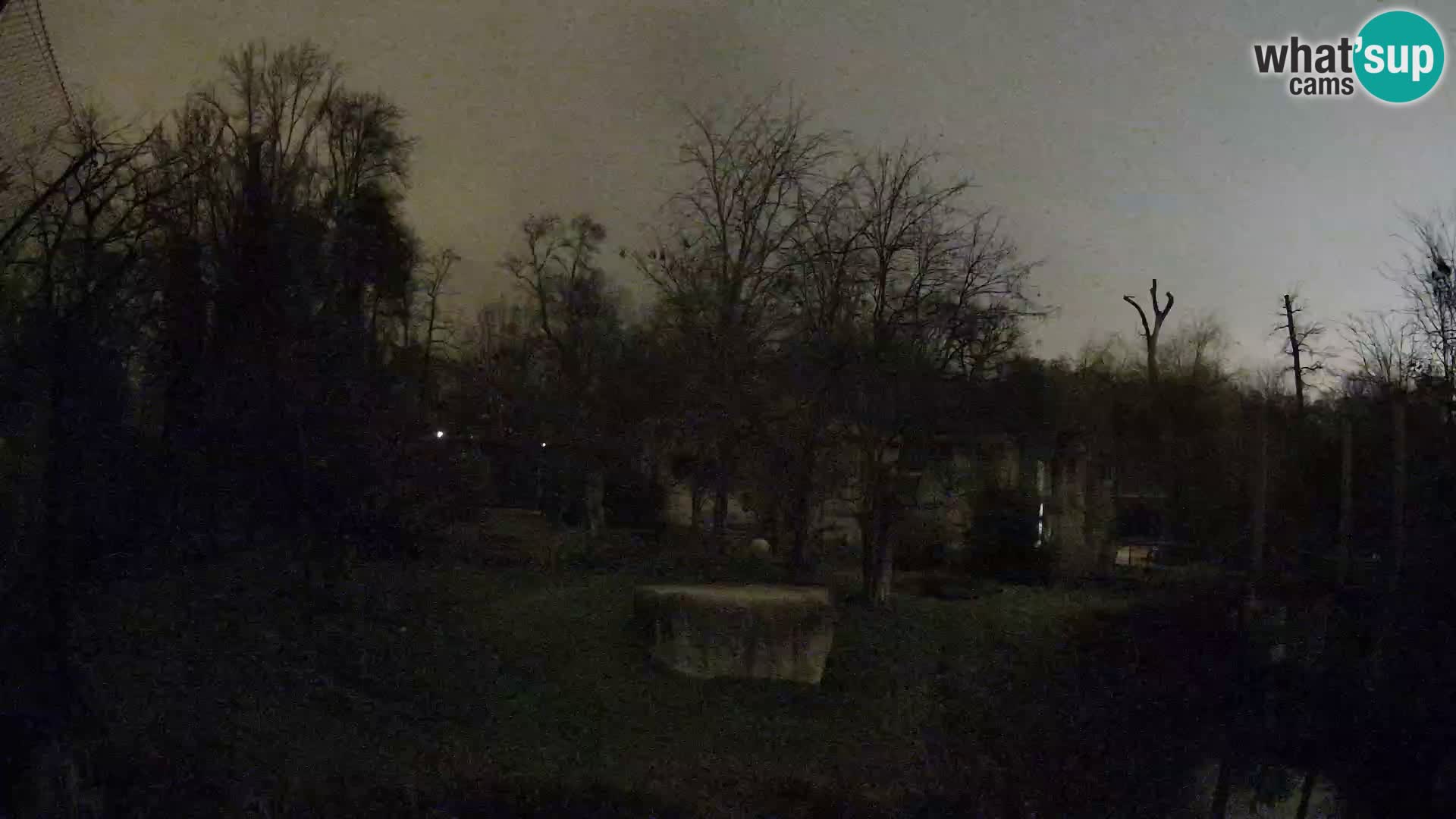 Zoo Zagreb – Leones