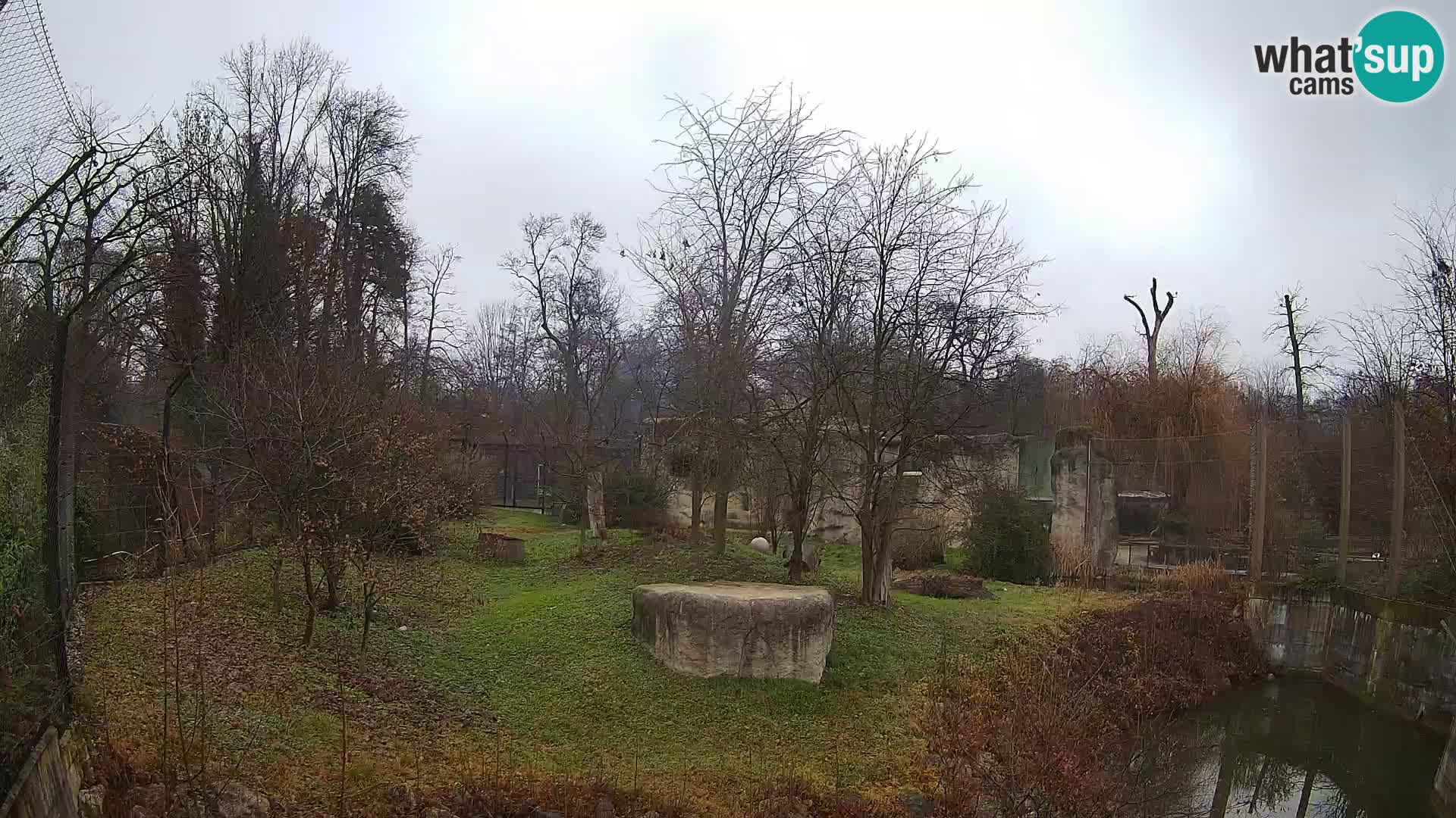 Zoo Zagreb – Lavovi