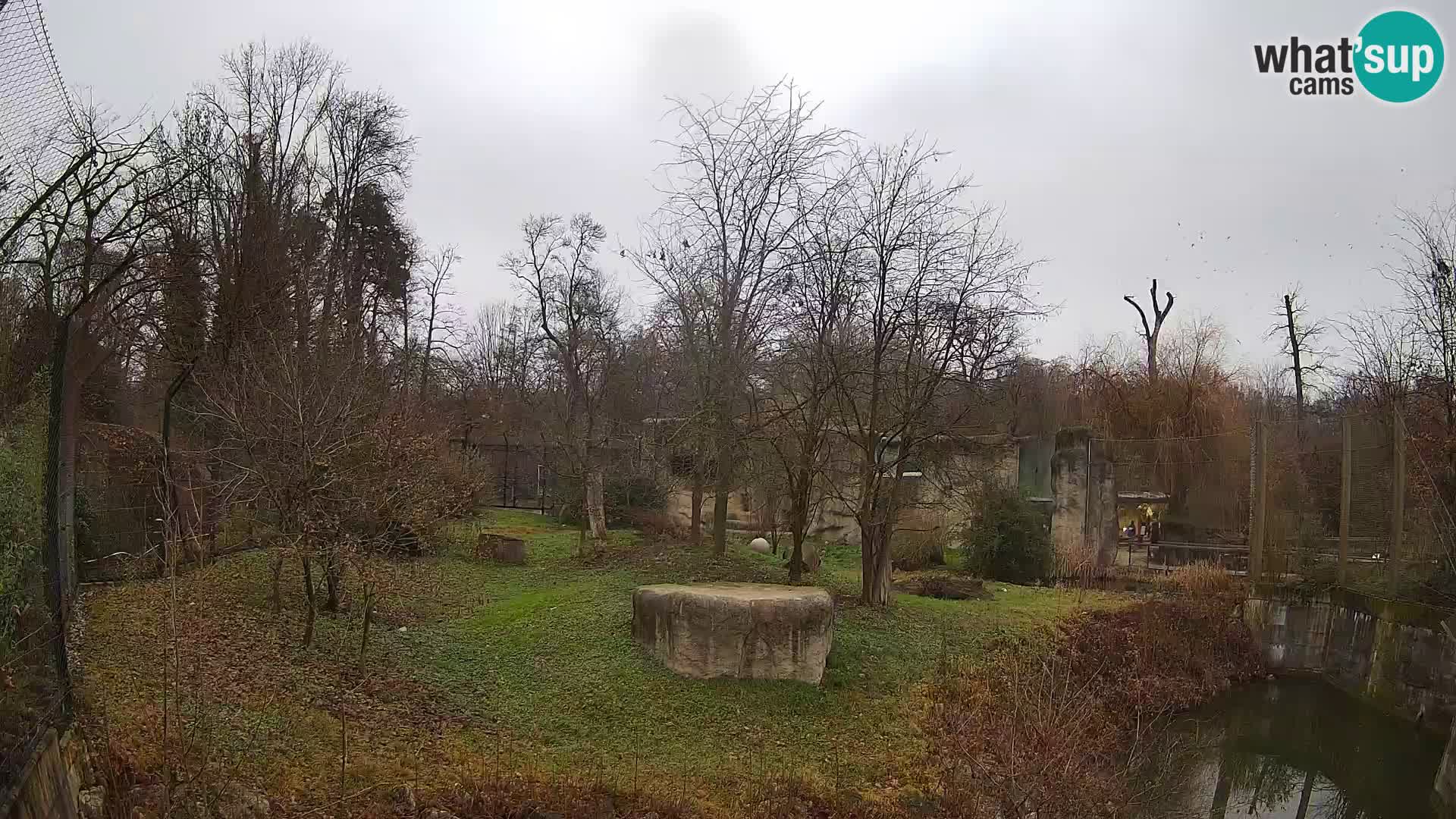 Zoo Zagreb – Löwen