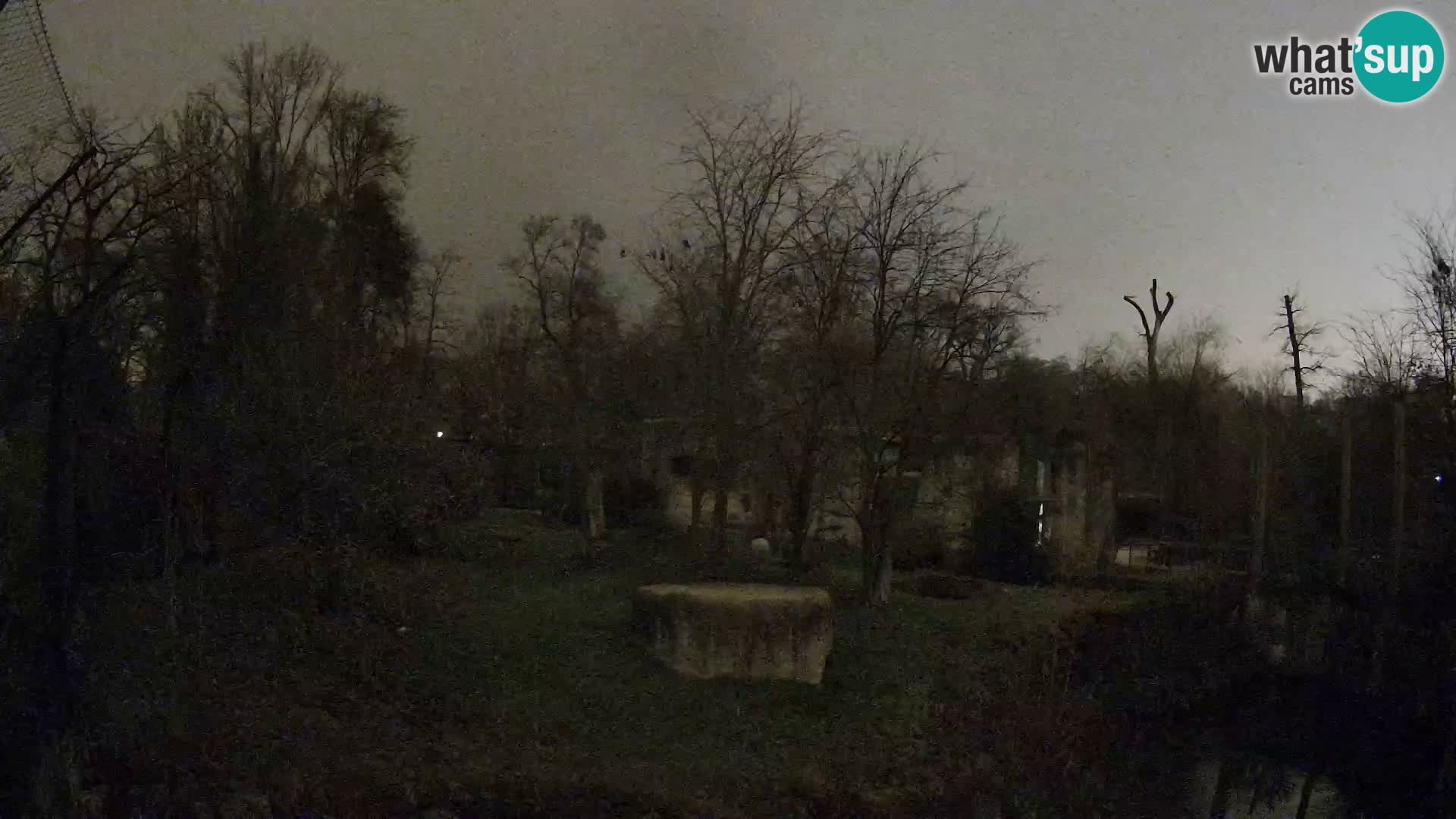 Zoo Zagreb – Leones