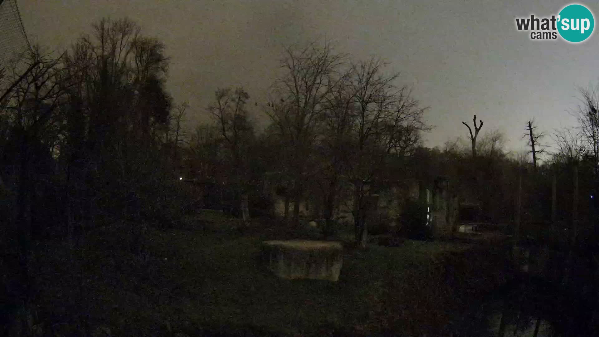 Zoo Zagreb – Leones