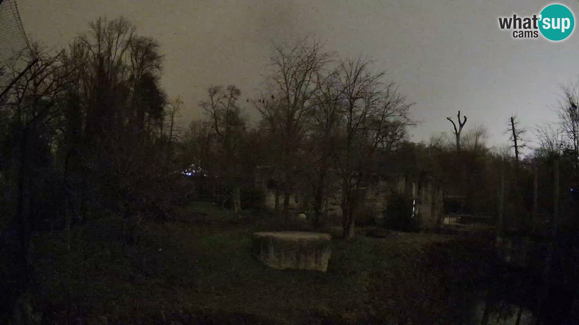 Zoo Zagreb – Leoni