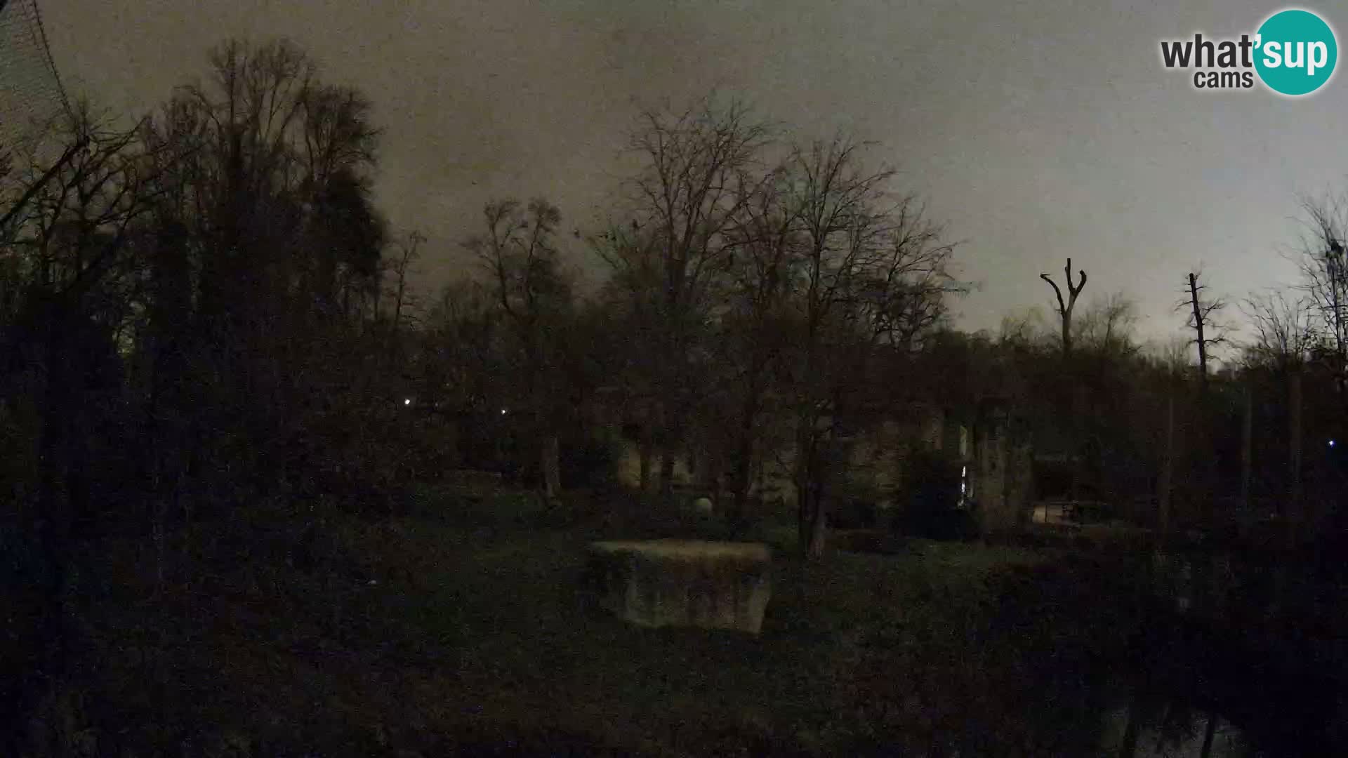 Zoo Zagreb – Leoni