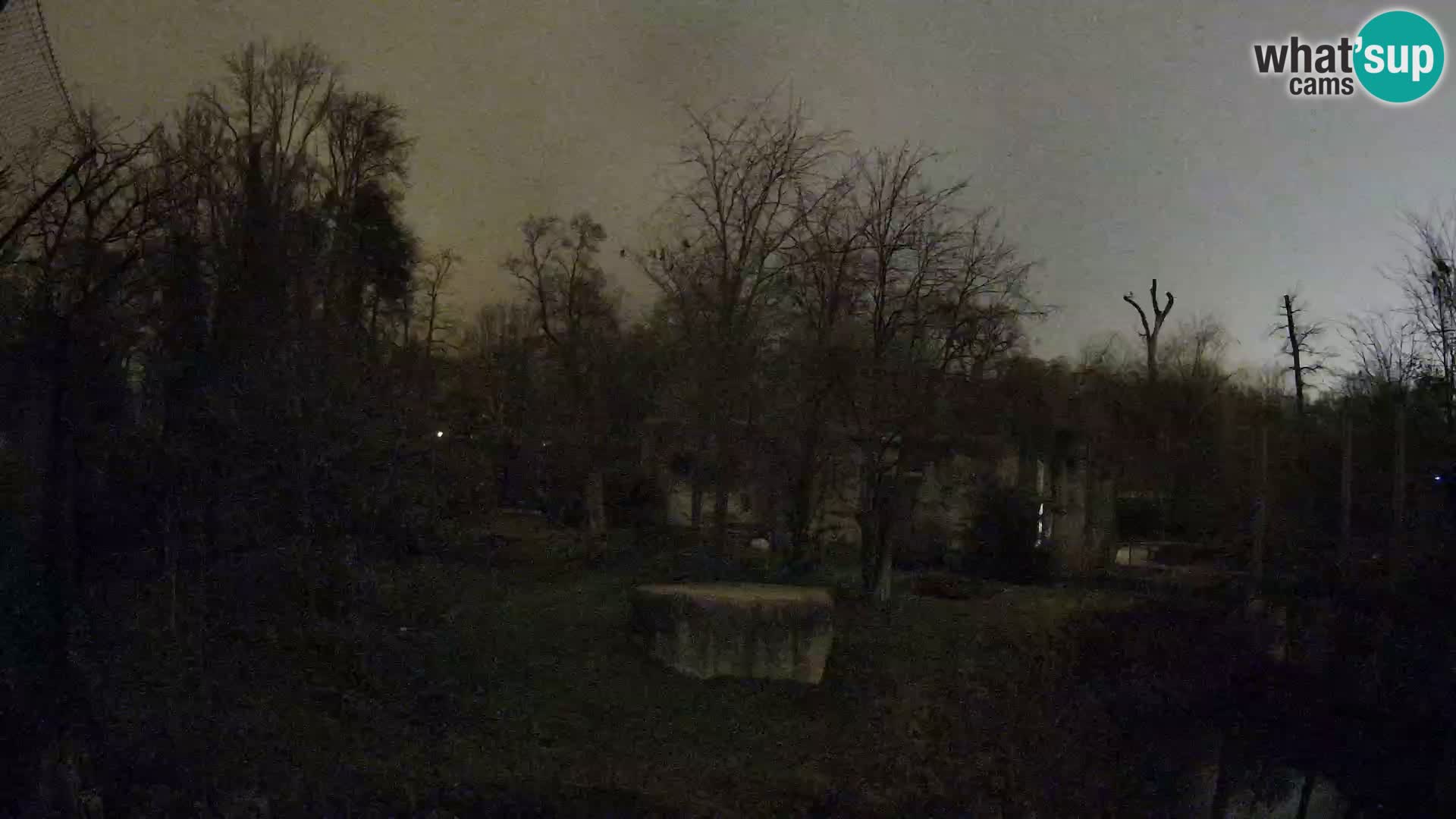 Zoo Zagreb – Löwen