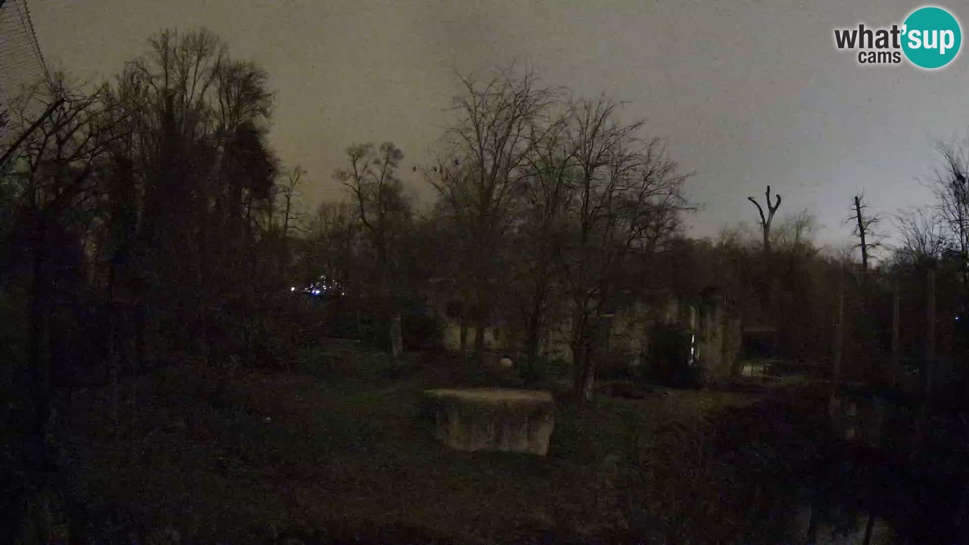 Zoo Zagreb – Löwen