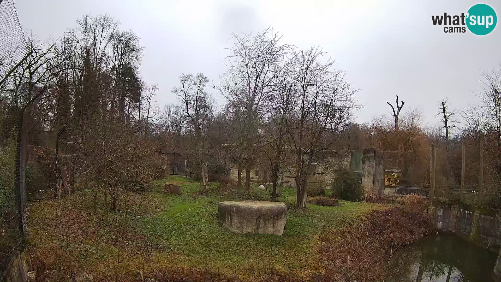 Zoo Zagreb – Löwen