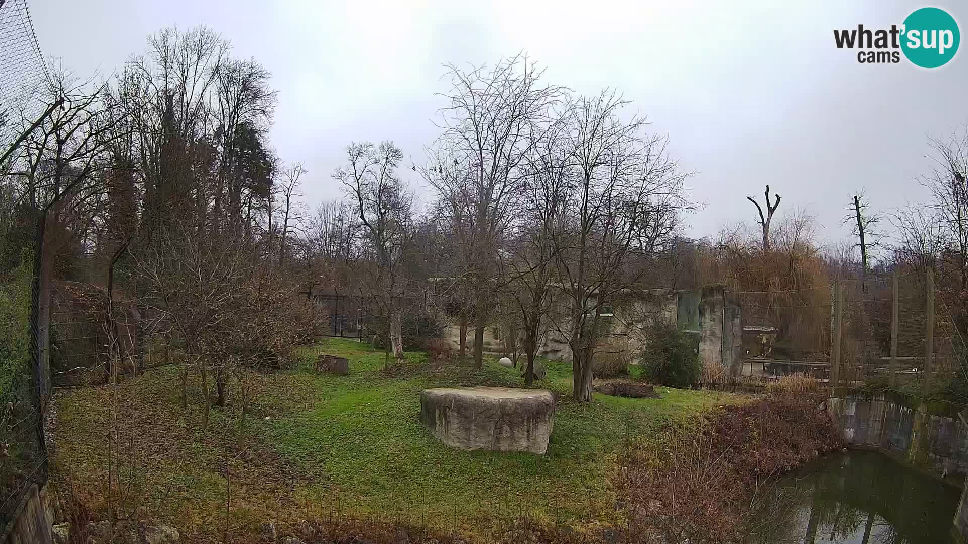 Zoo Zagreb – Leones