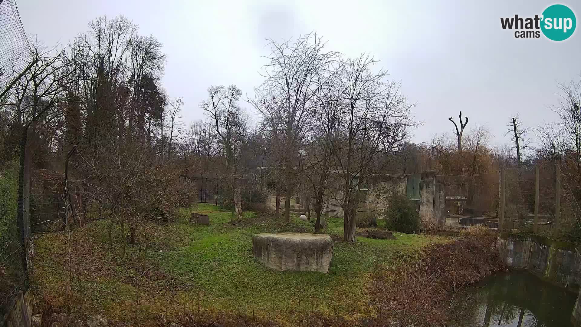 Zoo Zagreb – Leones