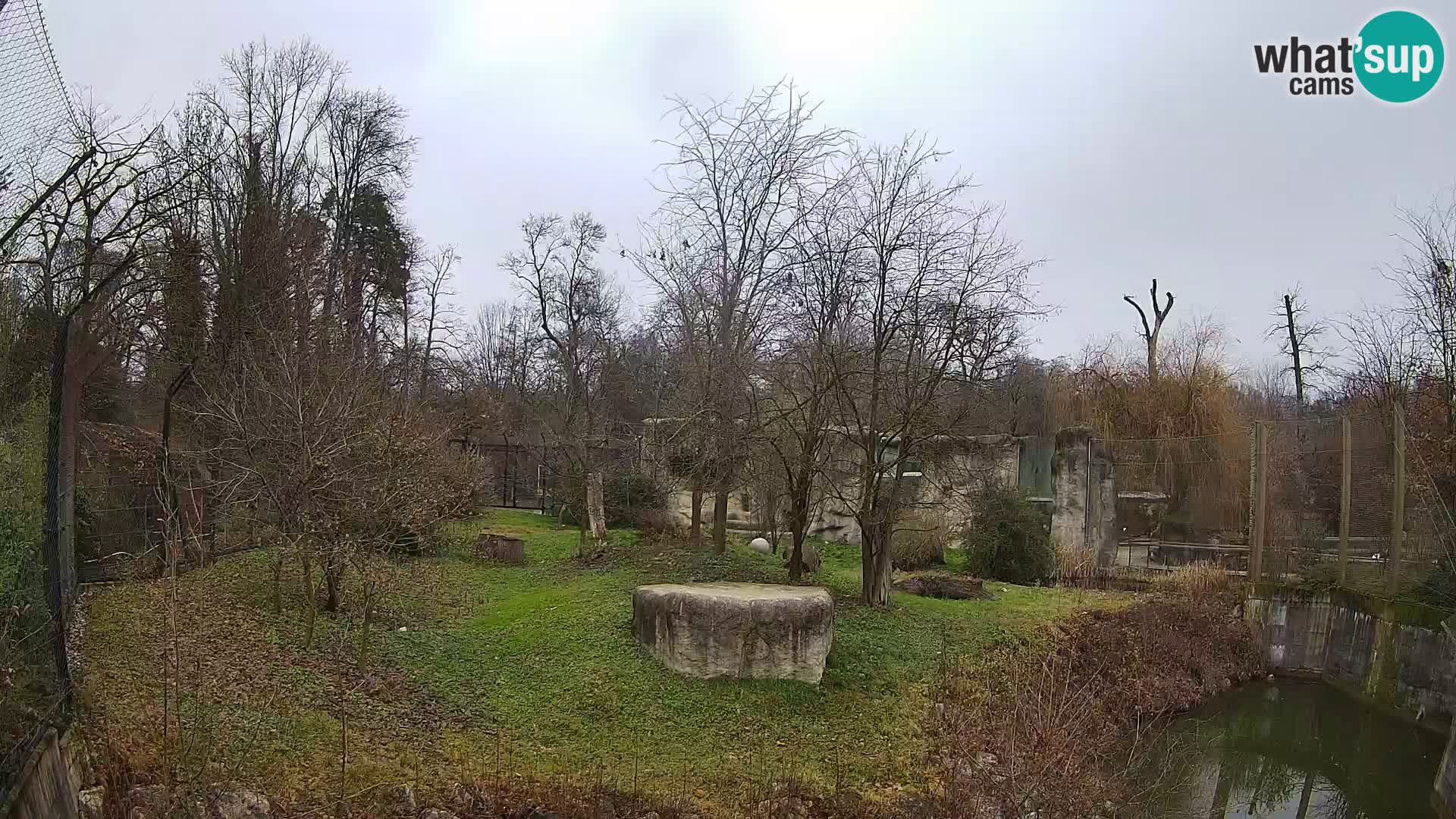 Zoo Zagreb – Leones