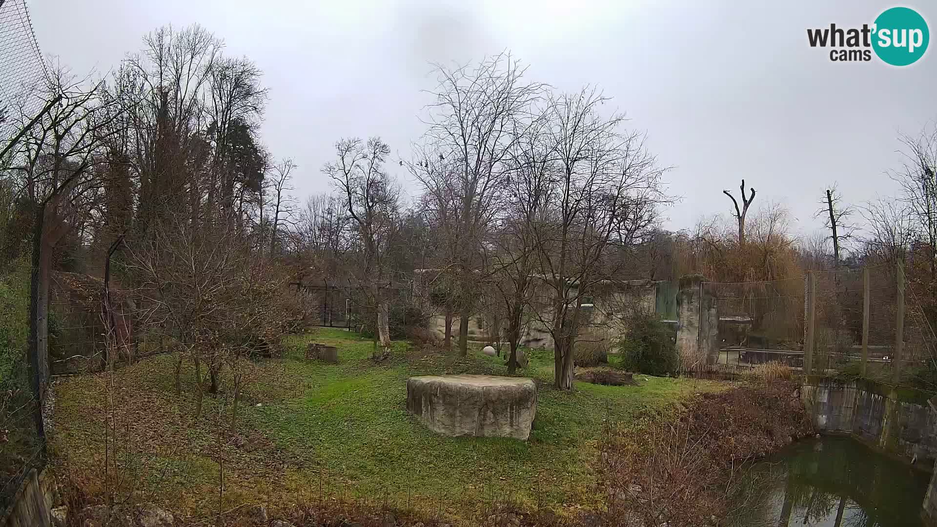 Zoo Zagreb – Leones