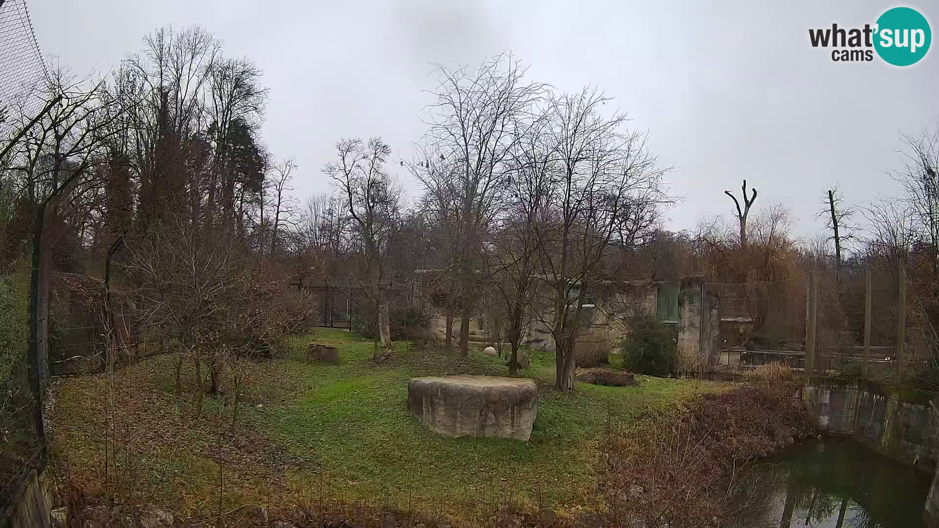 Zoo Zagreb – Leoni