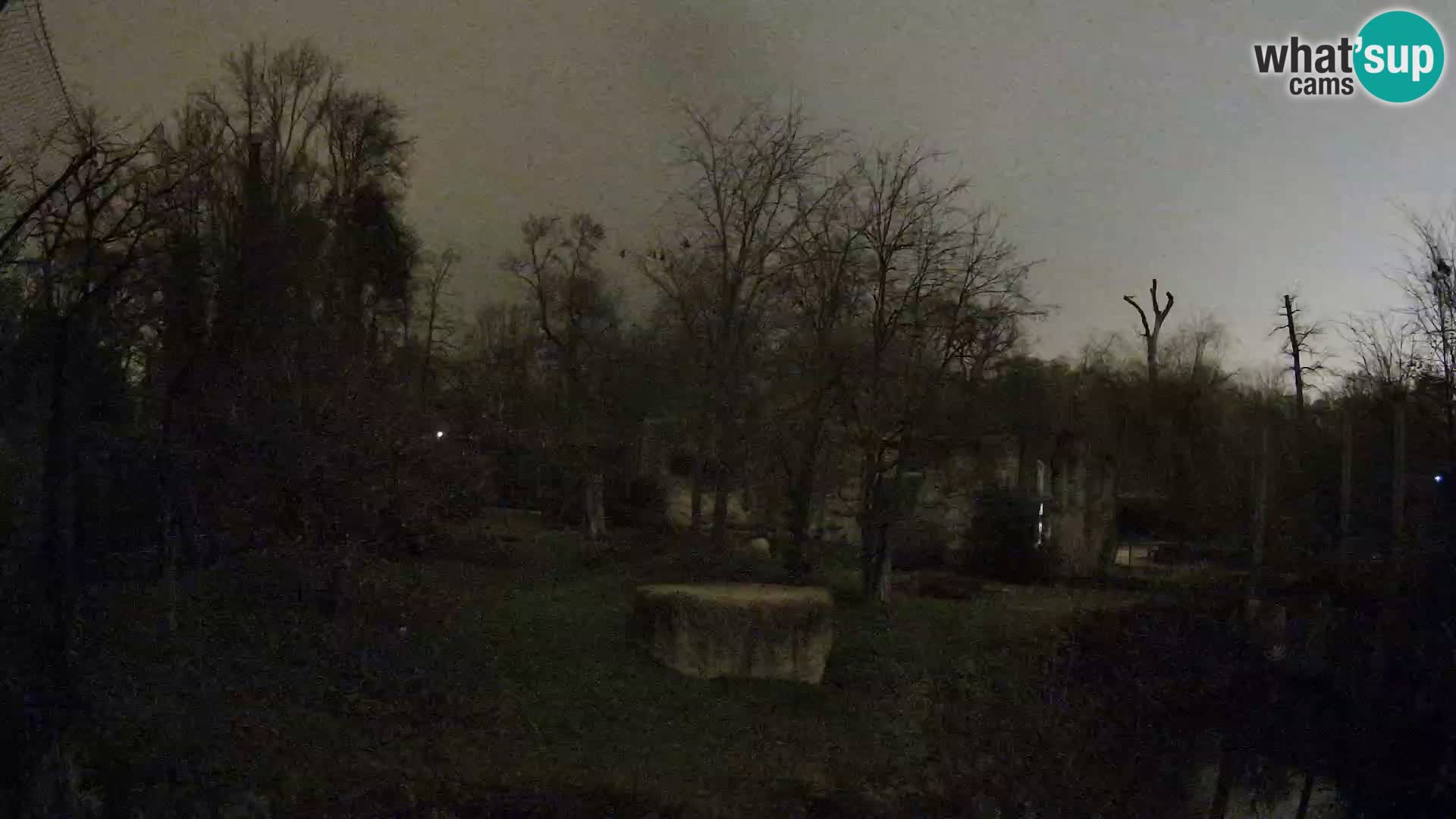 Zoo Zagreb – Leones