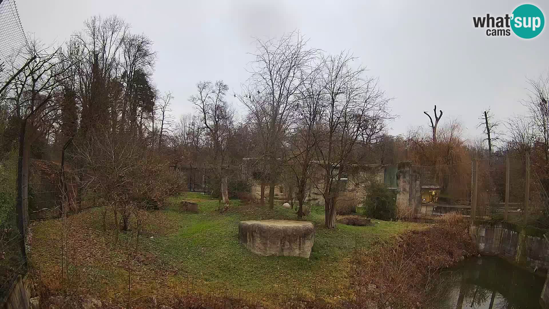 Zoo Zagreb – Leones