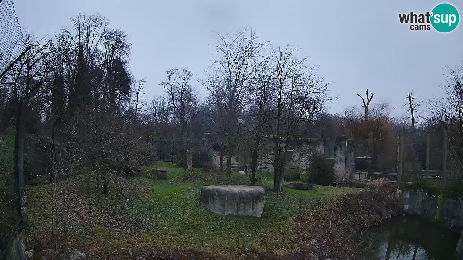 Zoo Zagreb – Leoni