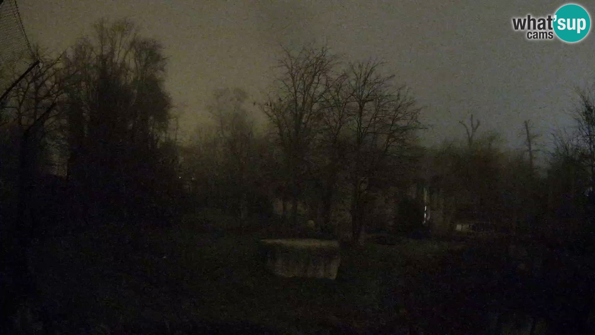 Spletna kamera Zoo Zagreb – Levi