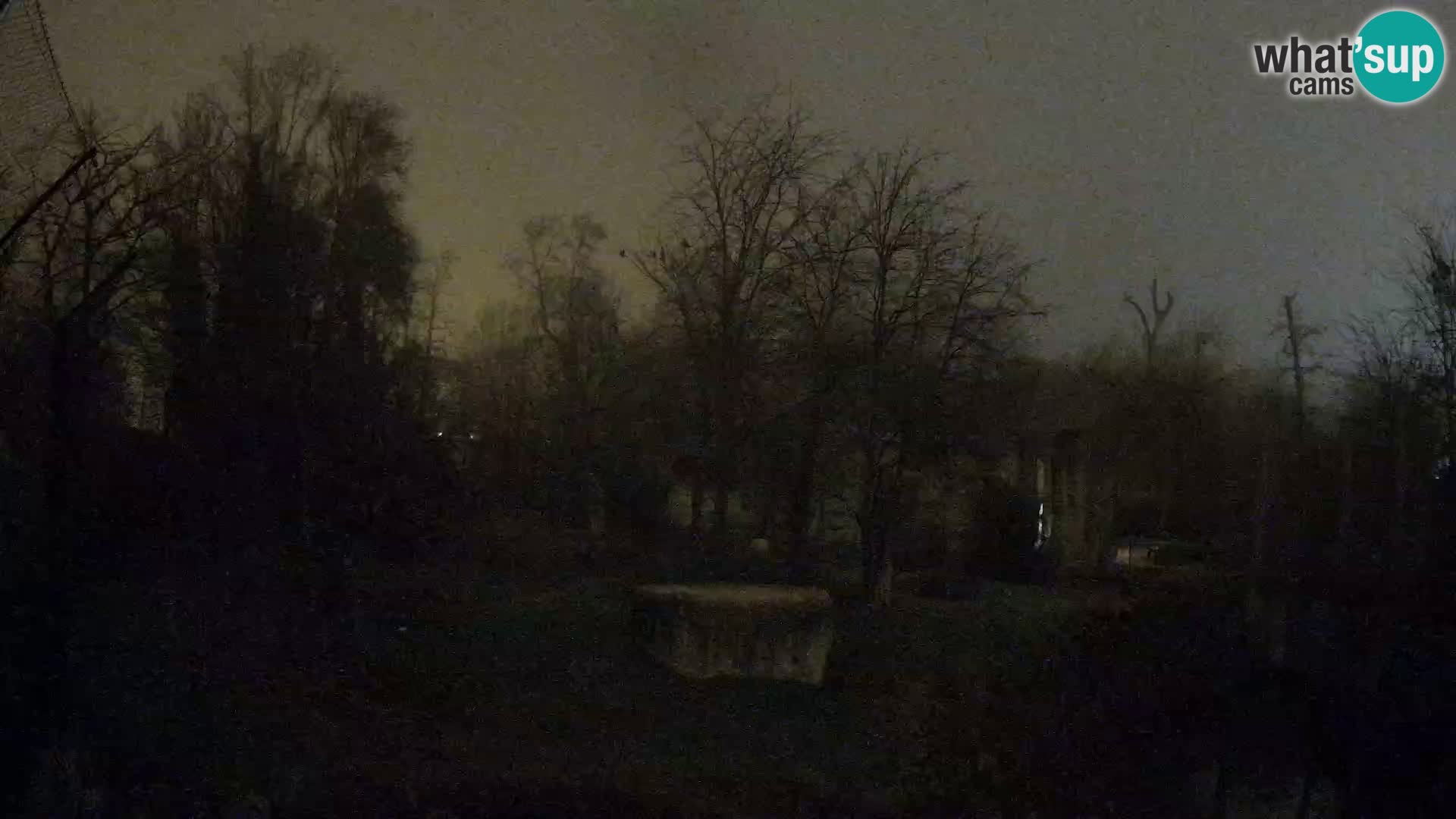 Spletna kamera Zoo Zagreb – Levi