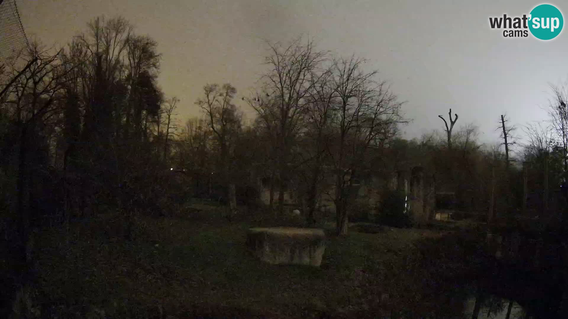 Zoo Zagreb – Löwen