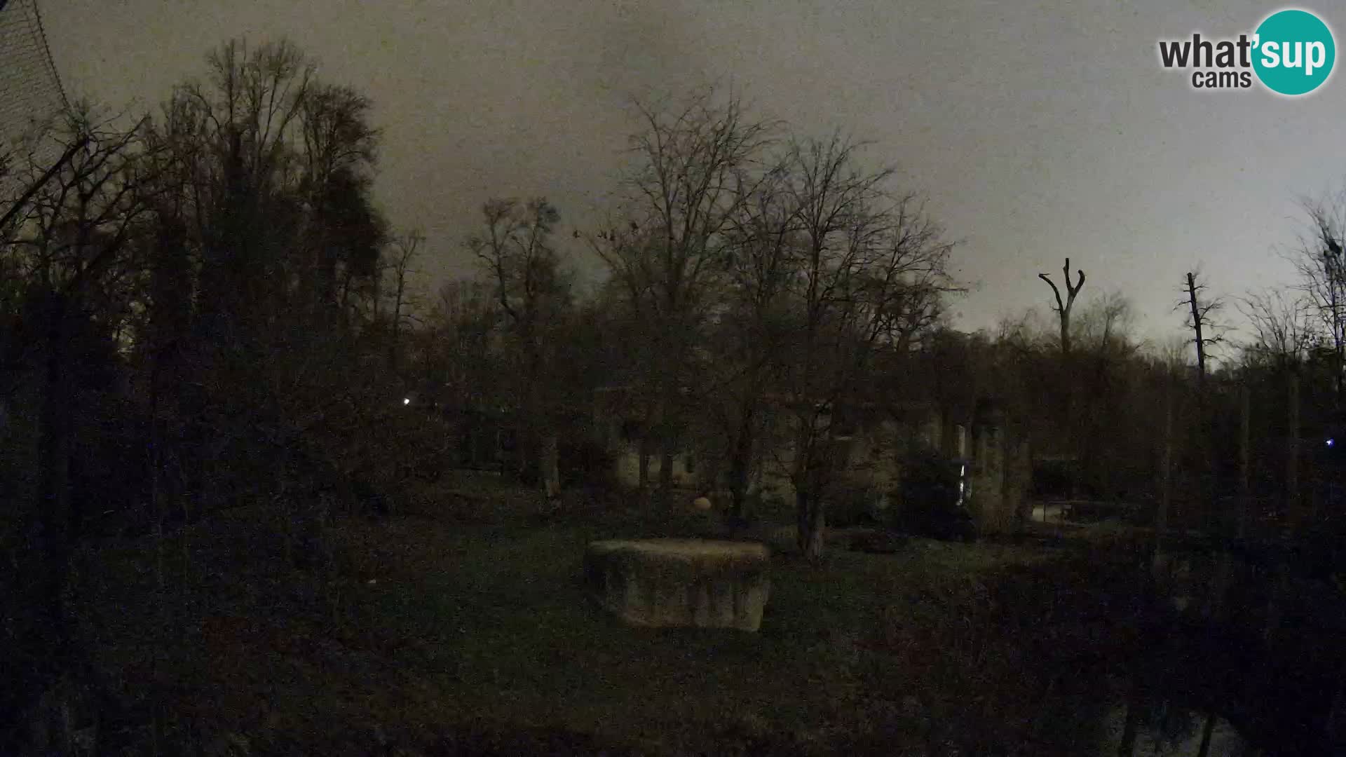 Zoo Zagreb – Leoni