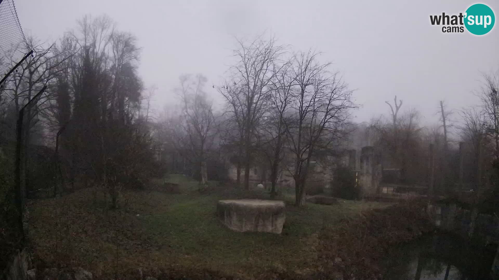 Zoo Zagreb – Lavovi