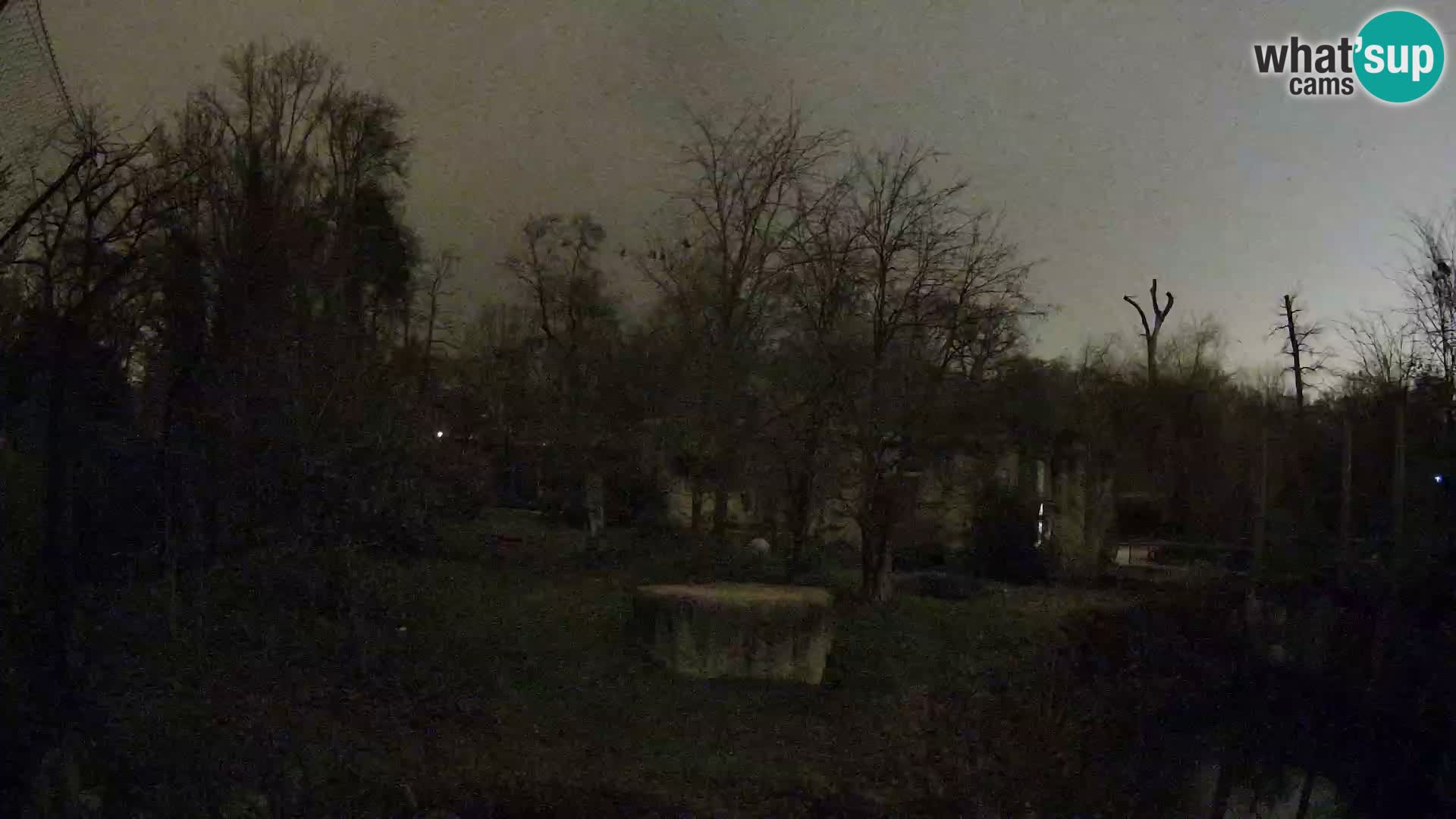 Zoo Zagreb – Löwen