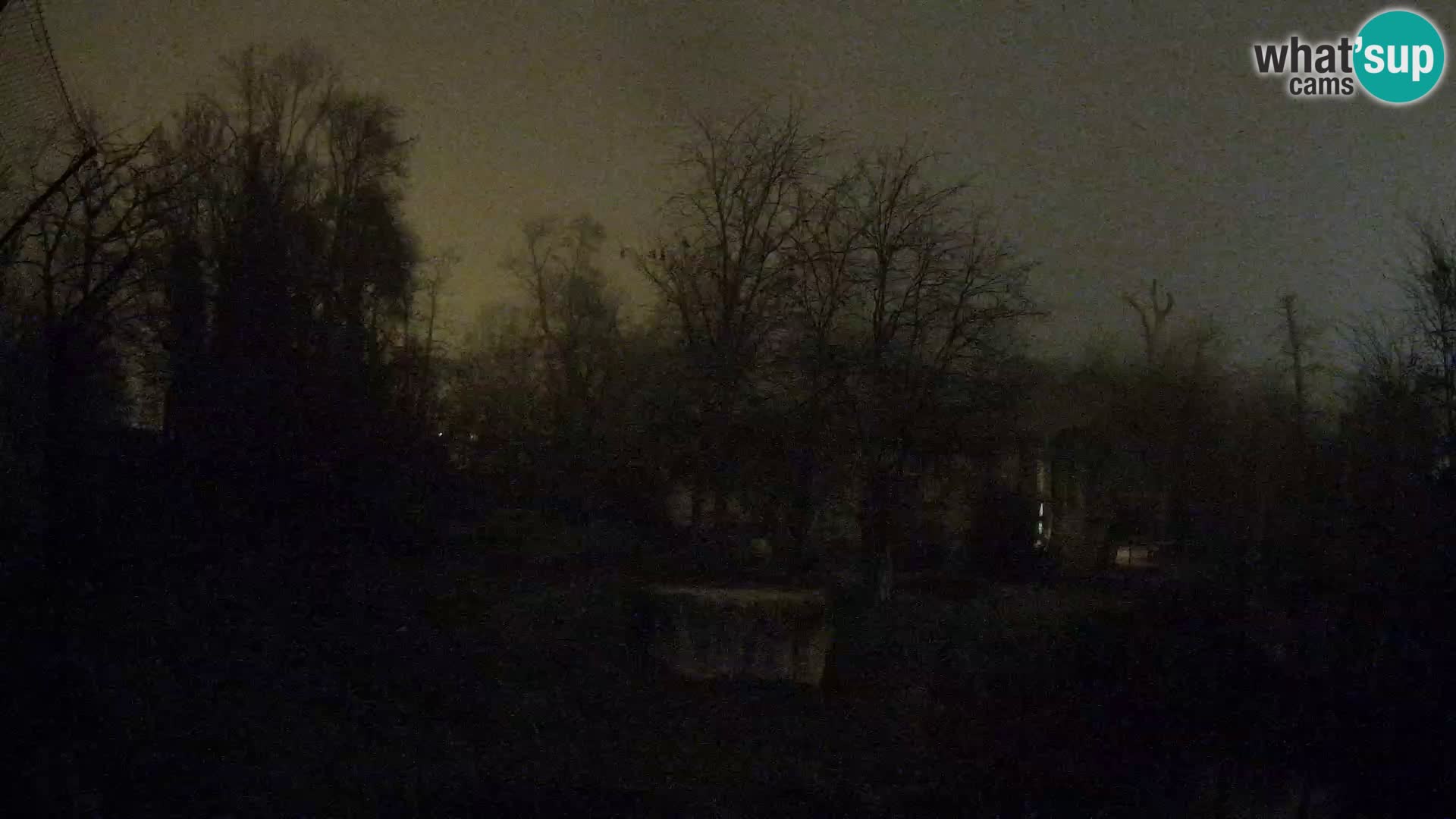 Zoo Zagreb – Lavovi