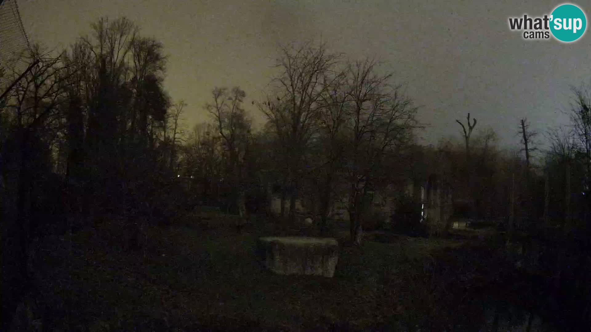 Zoo Zagreb – Leoni