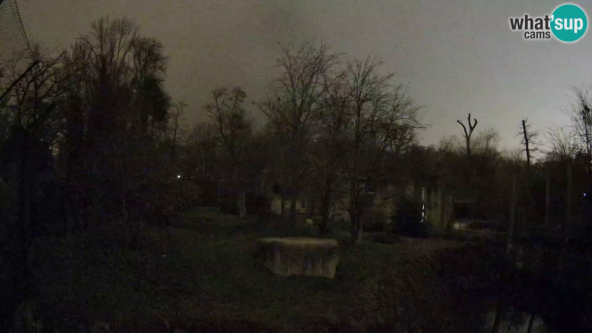 Zoo Zagreb – Leones