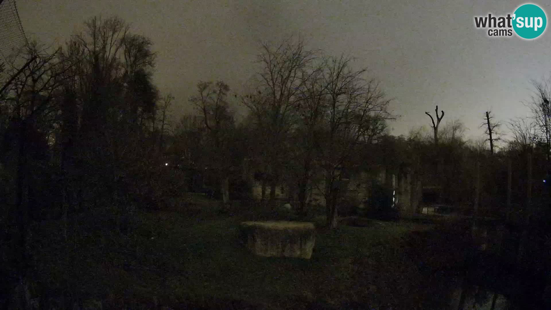 Zoo Zagreb – Leoni